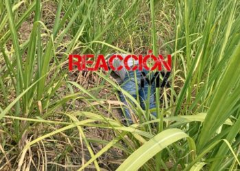 HALLAN CUERPO EN LA RANCHERÍA CALZADA 2da. SECCION DE CARDENAS.