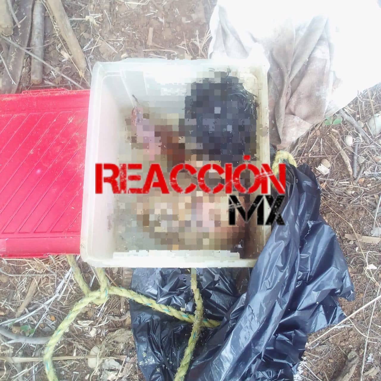 HALLAN CABEZAS HUMANAS EN TEAPA Y RESTOS HUIMANOS EN TACOTALPA.