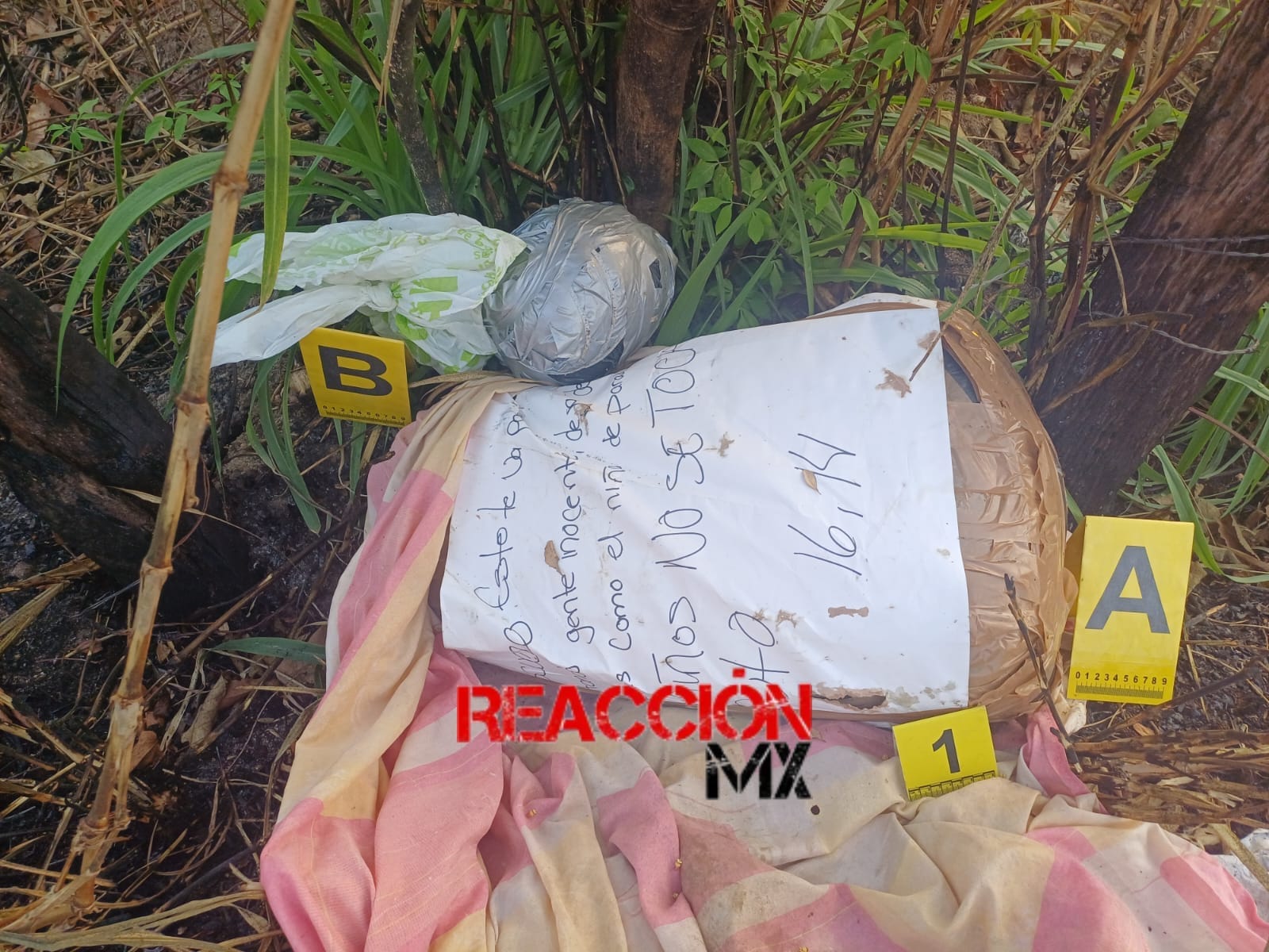 HALLAN CUERPO DESMEMBRADO EN PASO NUEVO DE COMALCALCO.