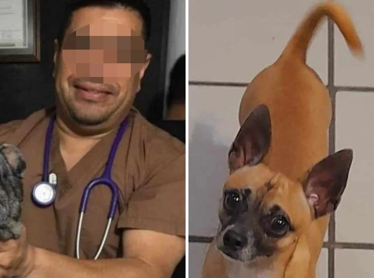 Veterinario señalado de haber provocado la muerte de lomito, es demandado ante la FGE.