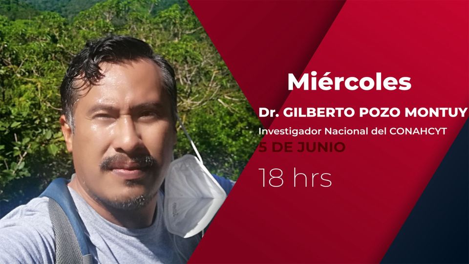 SOS salvemos a los monos aulladores de Tabasco.