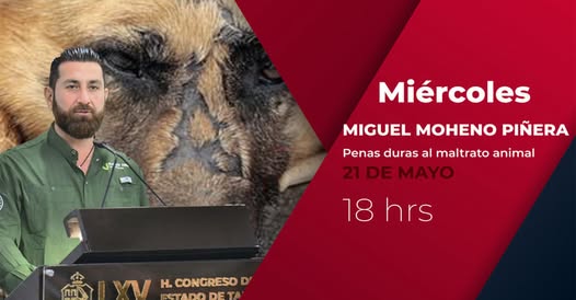 Tabasco ocupa uno de los 3 primeros lugares en maltrato animal.