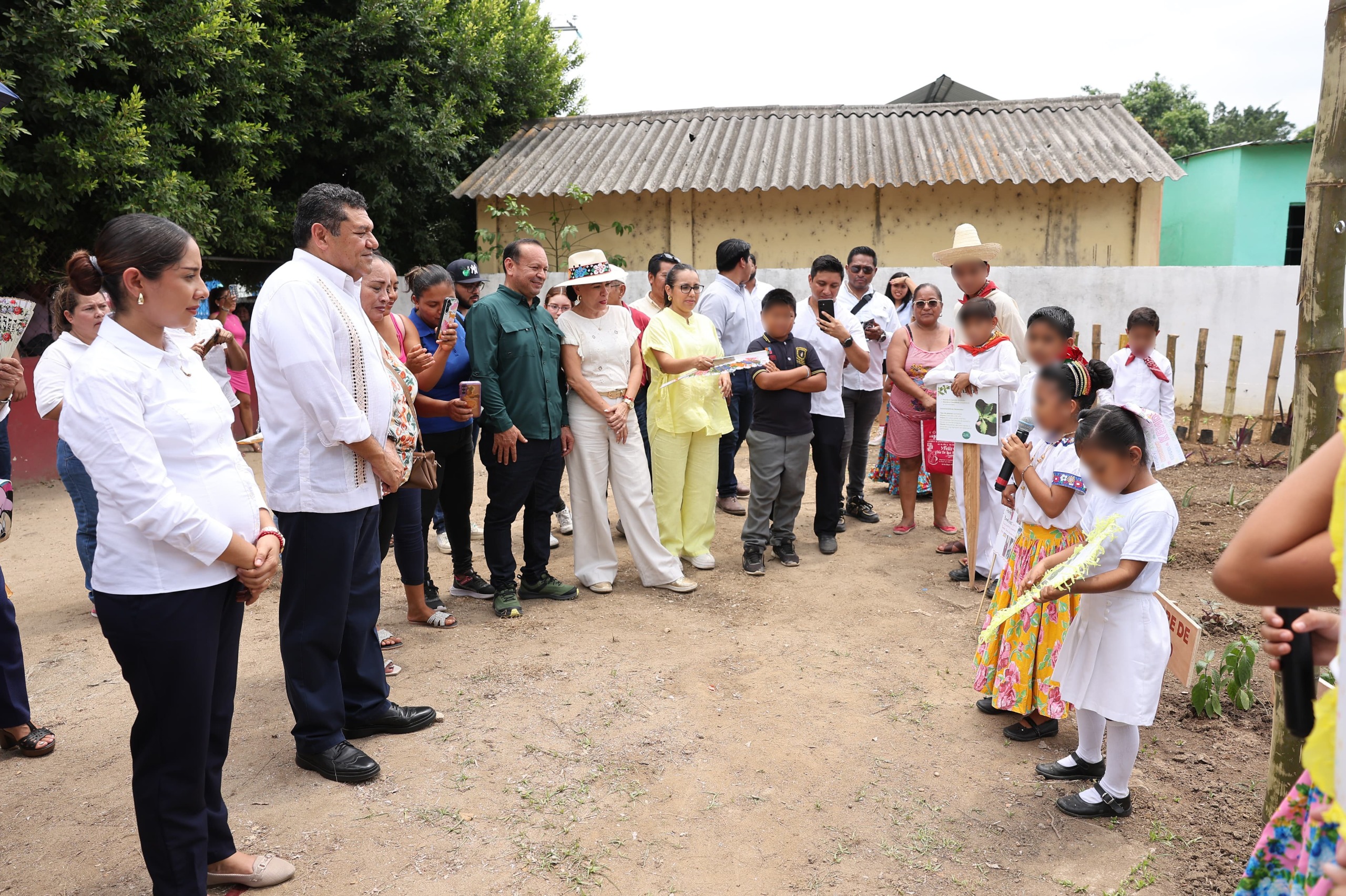 Anuncia Javier May jornada estatal de reforestación con siembra de 10 millones de árboles frutales y maderables.