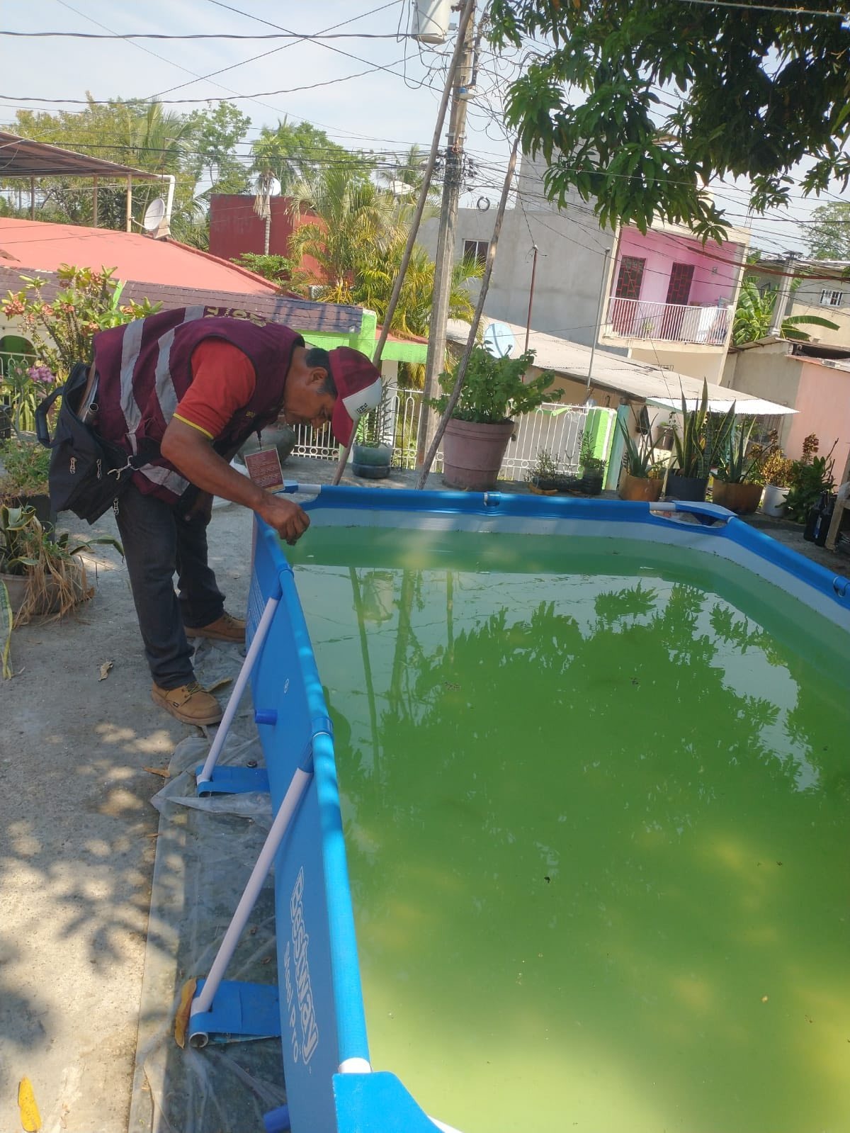 Llama Secretaría de Salud a prevenir el dengue, ante inicio de la temporada de lluvias.