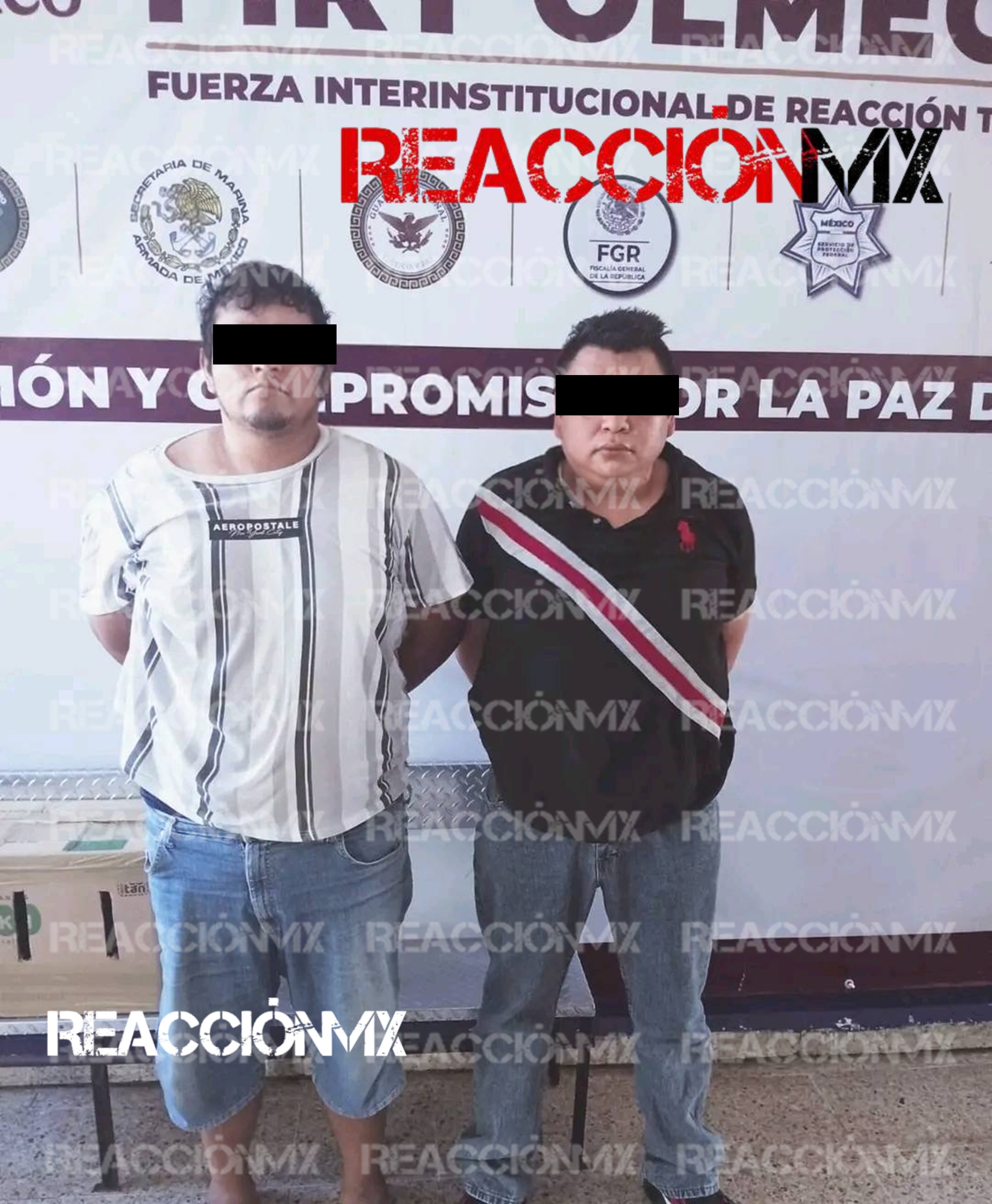 Detienen a dos sujetos con arma y una caja con nueve monos arañas en Villahermosa.