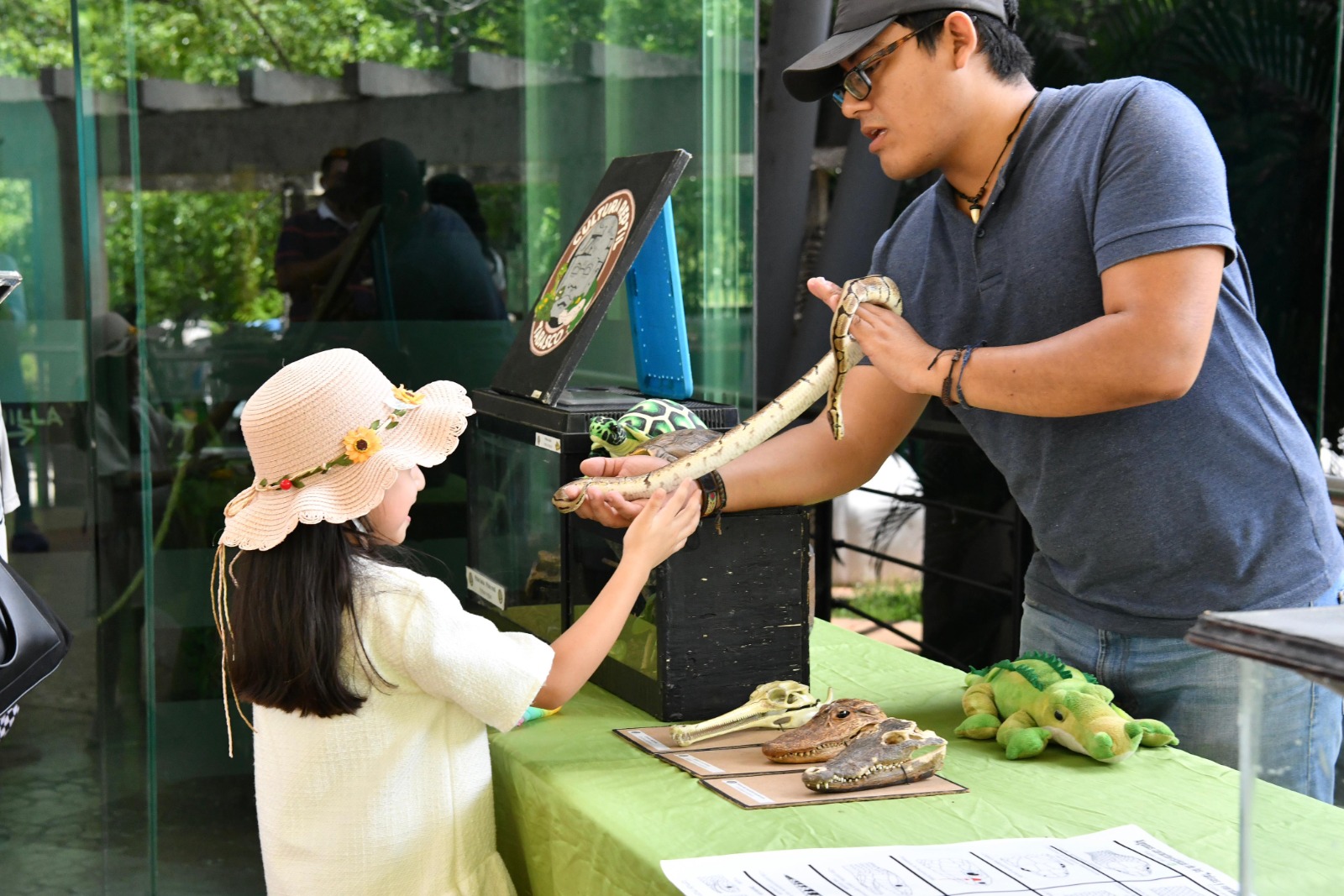 Alberga el Museo de Historia Natural “José Narciso Rovirosa” una llamativa exhibición de reptiles para conocerlos y aprender a cuidarlos.