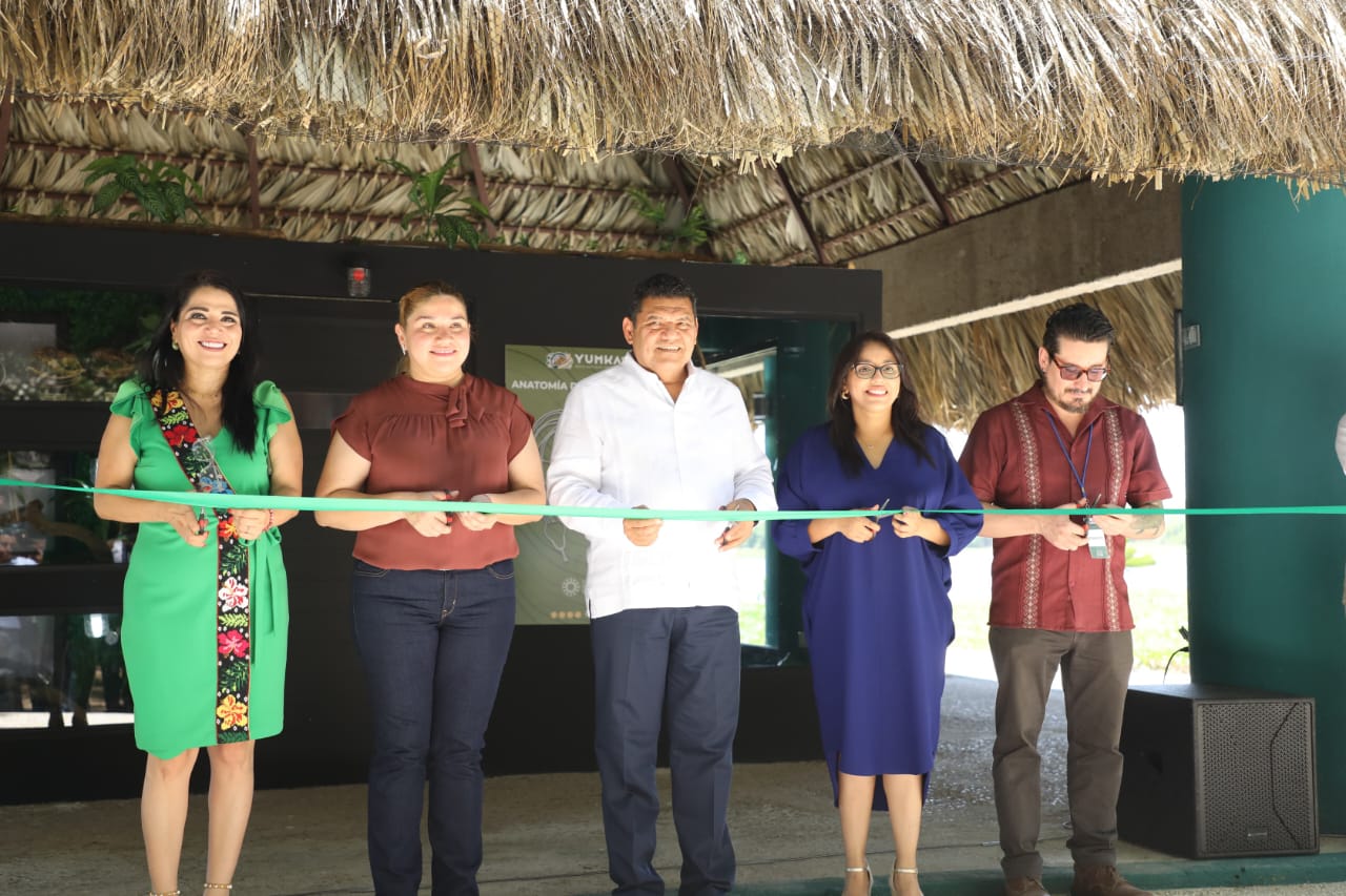 Impulsa Gobierno del Estado cuidado de las serpientes con rehabilitación del herpetario del Yumka’.