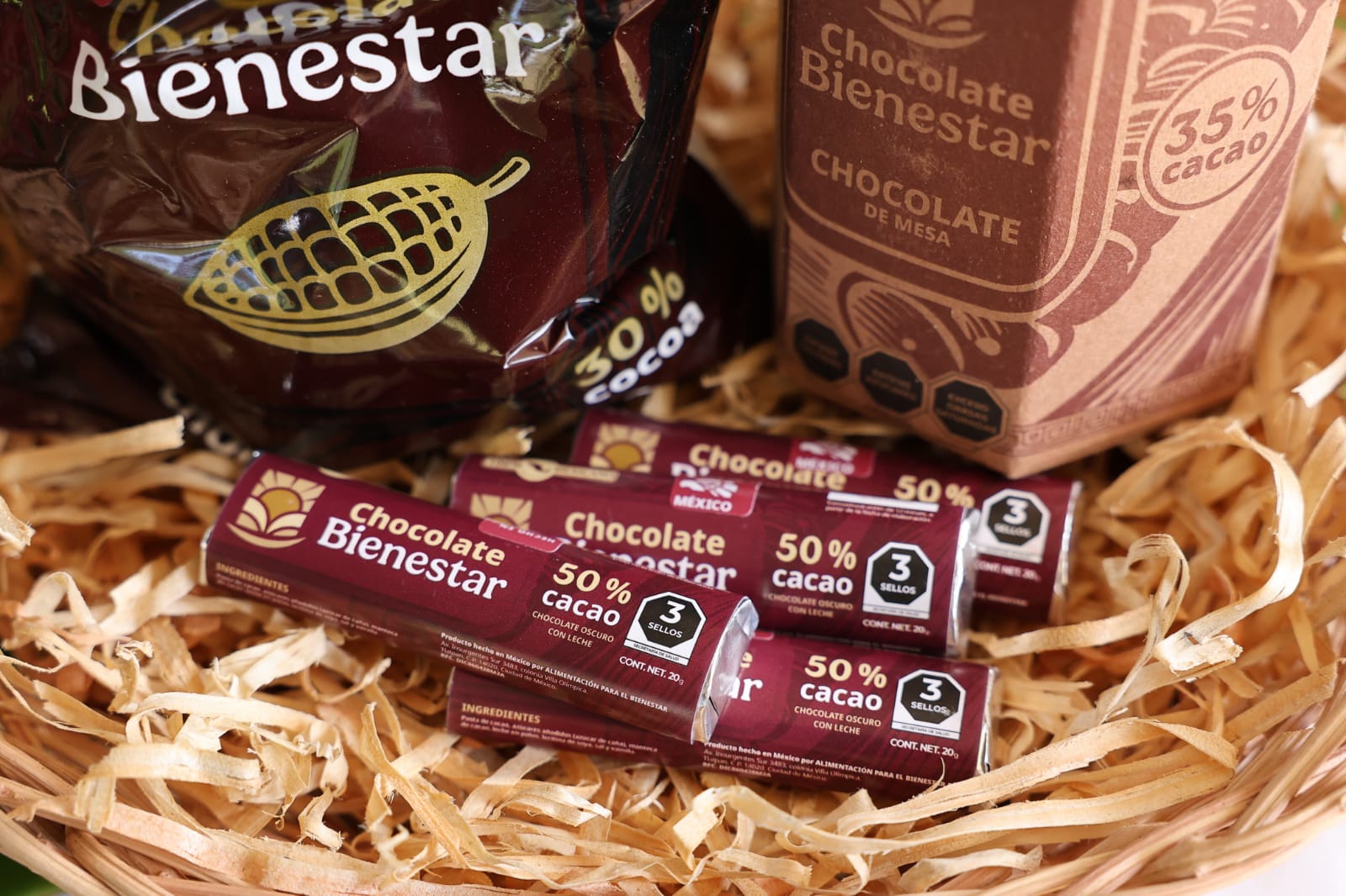 Con Sembrando Vida y Alimentación para el Bienestar, se impulsa en Tabasco la producción del cacao, así como la mejora en la economía de sembradores.