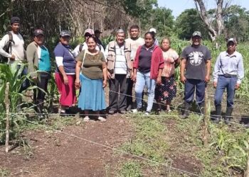 Realiza Bienestar Jornada de acompañamiento en campo para apoyar a productores de Sembrando Vida estatal de Tenosique.