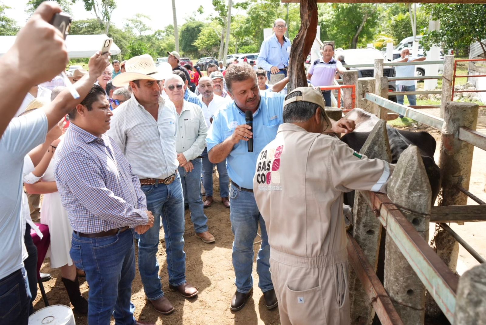 Arranca el Barrido Sanitario en Jalpa de Méndez; llama Sedap a productores a colaborar para realizar una completa verificación del hato ganadero.