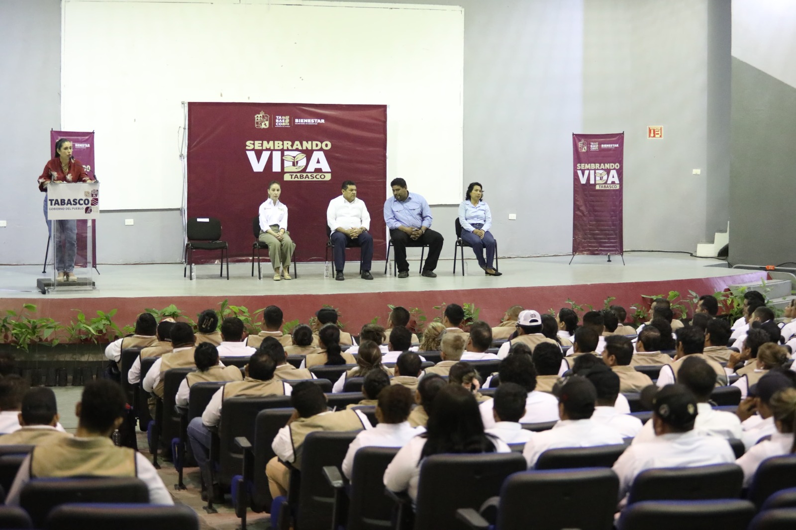 Sembrando Vida Tabasco, a punto de declarar cumplida la meta 2025, con 20 mil sembradoras y sembradores incorporados al programa.