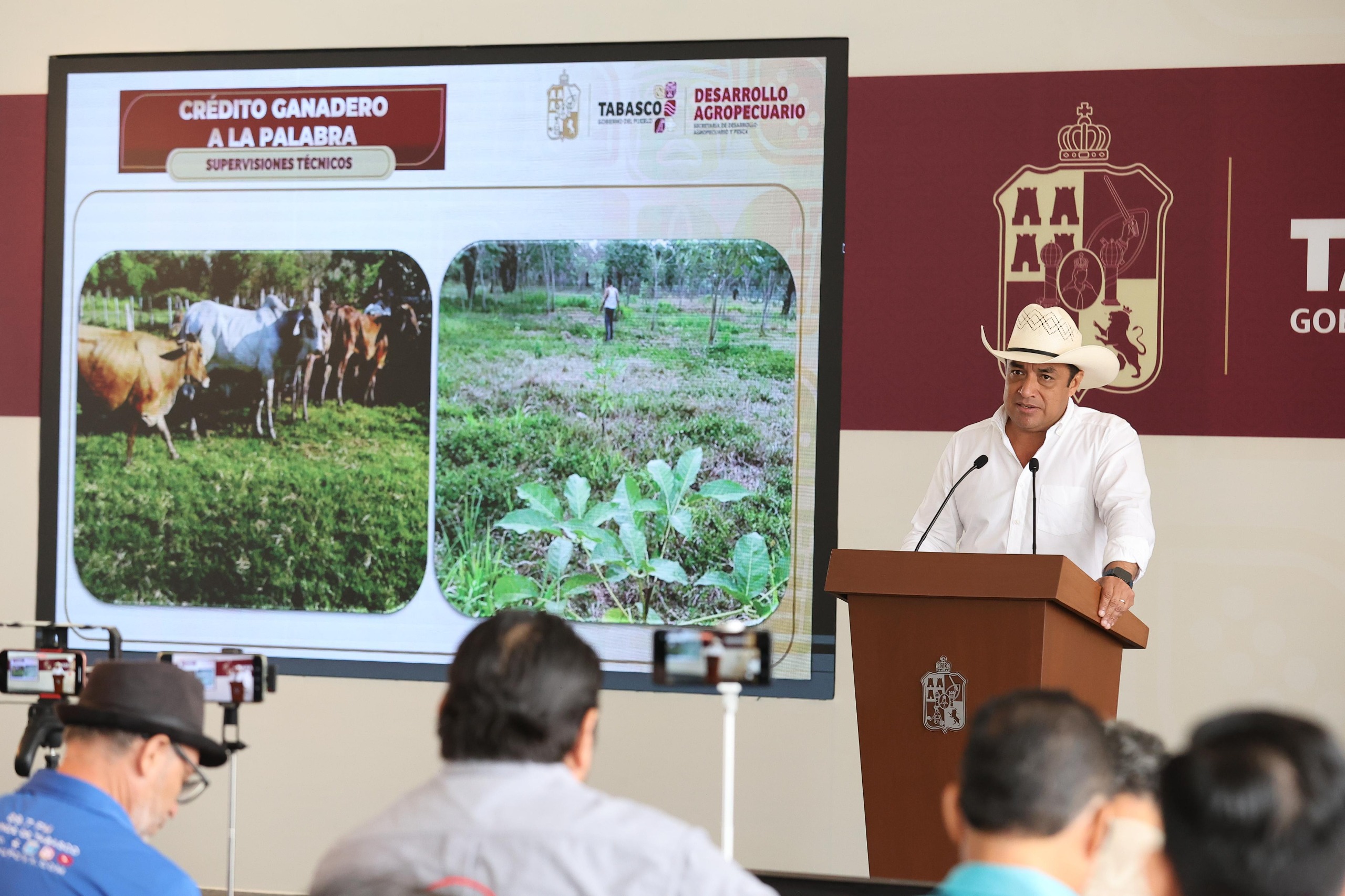 Tabasco, referente nacional en inversión ganadera: Alejandro Ligonio; nacen primeros becerros de programa Crédito Ganadero a la Palabra.