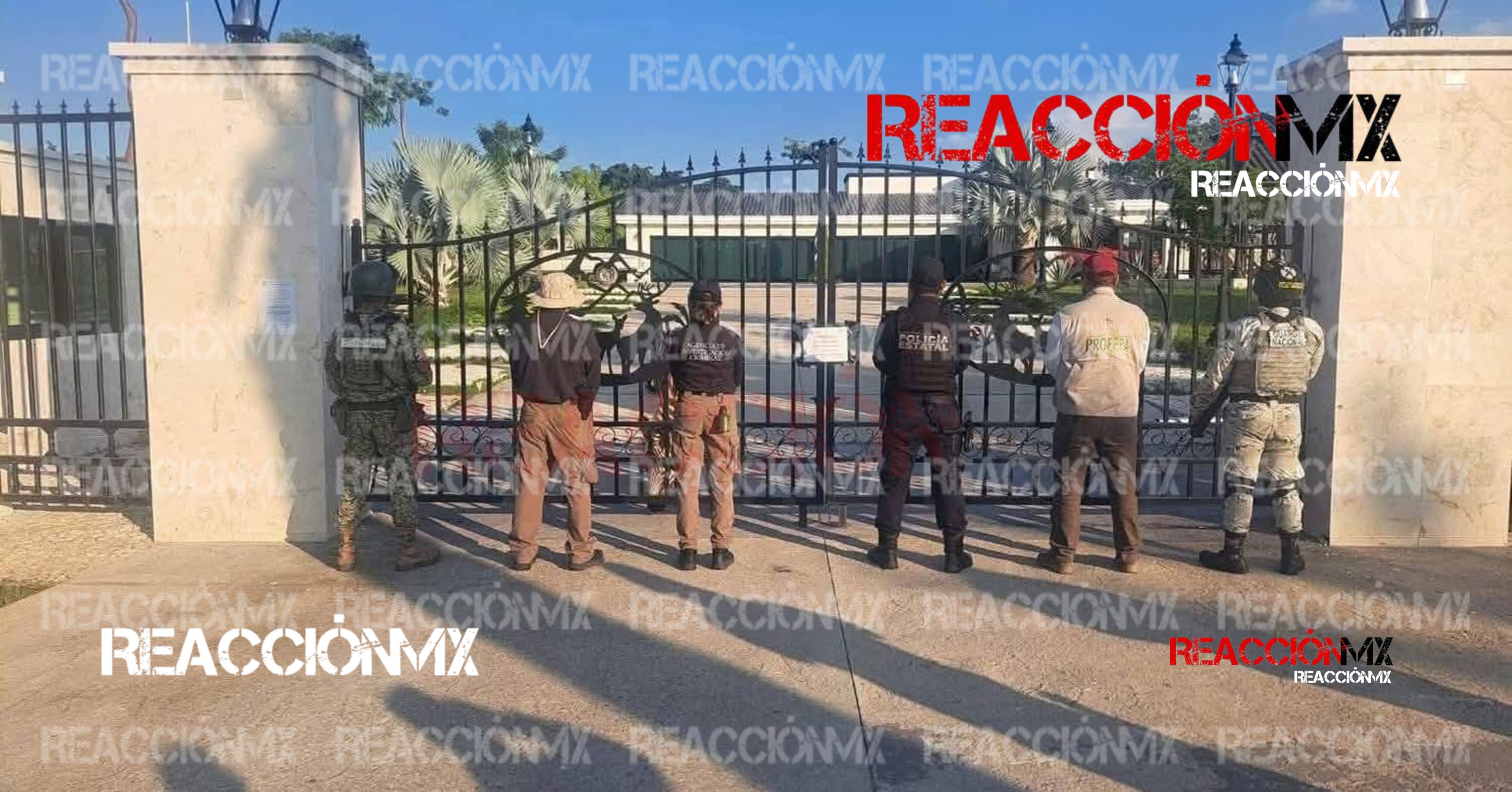 PROFEPA asegura 7 ejemplares de vida silvestre en inmueble cateado por la FGR en Altozano.