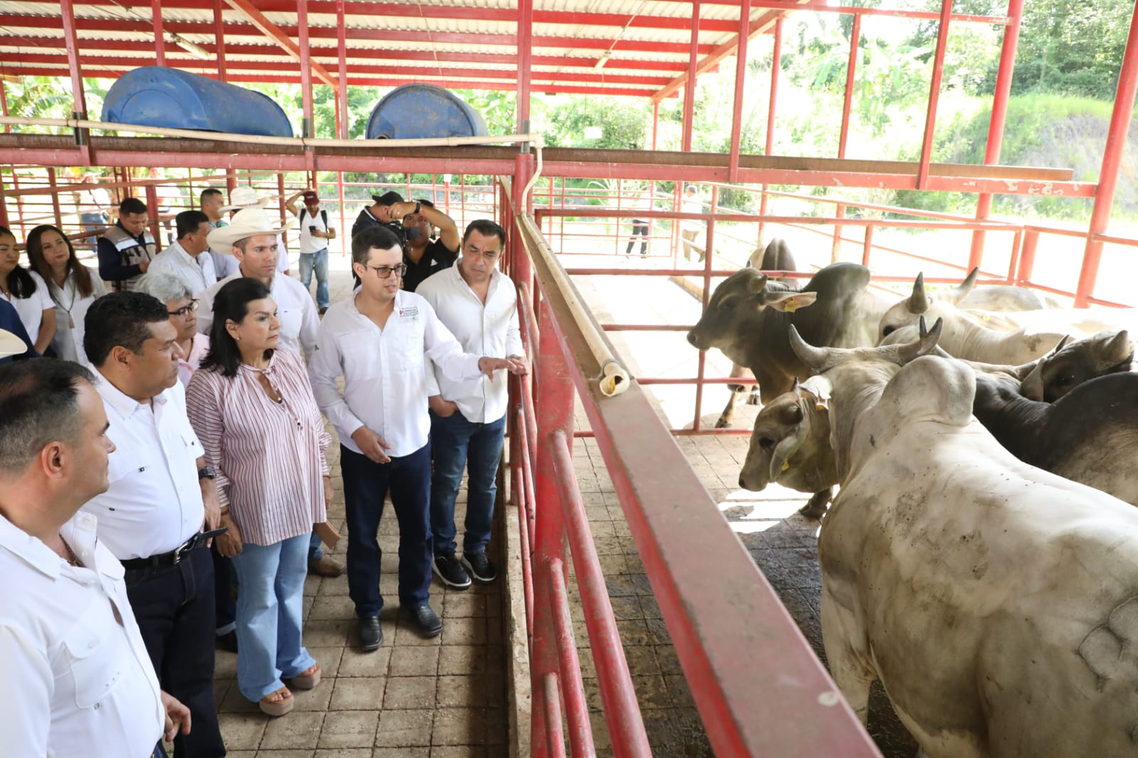 Recorre Javier May instalaciones de Fricetab y conoce proyecto de inversión para la mejora del estatus sanitario ganadero.