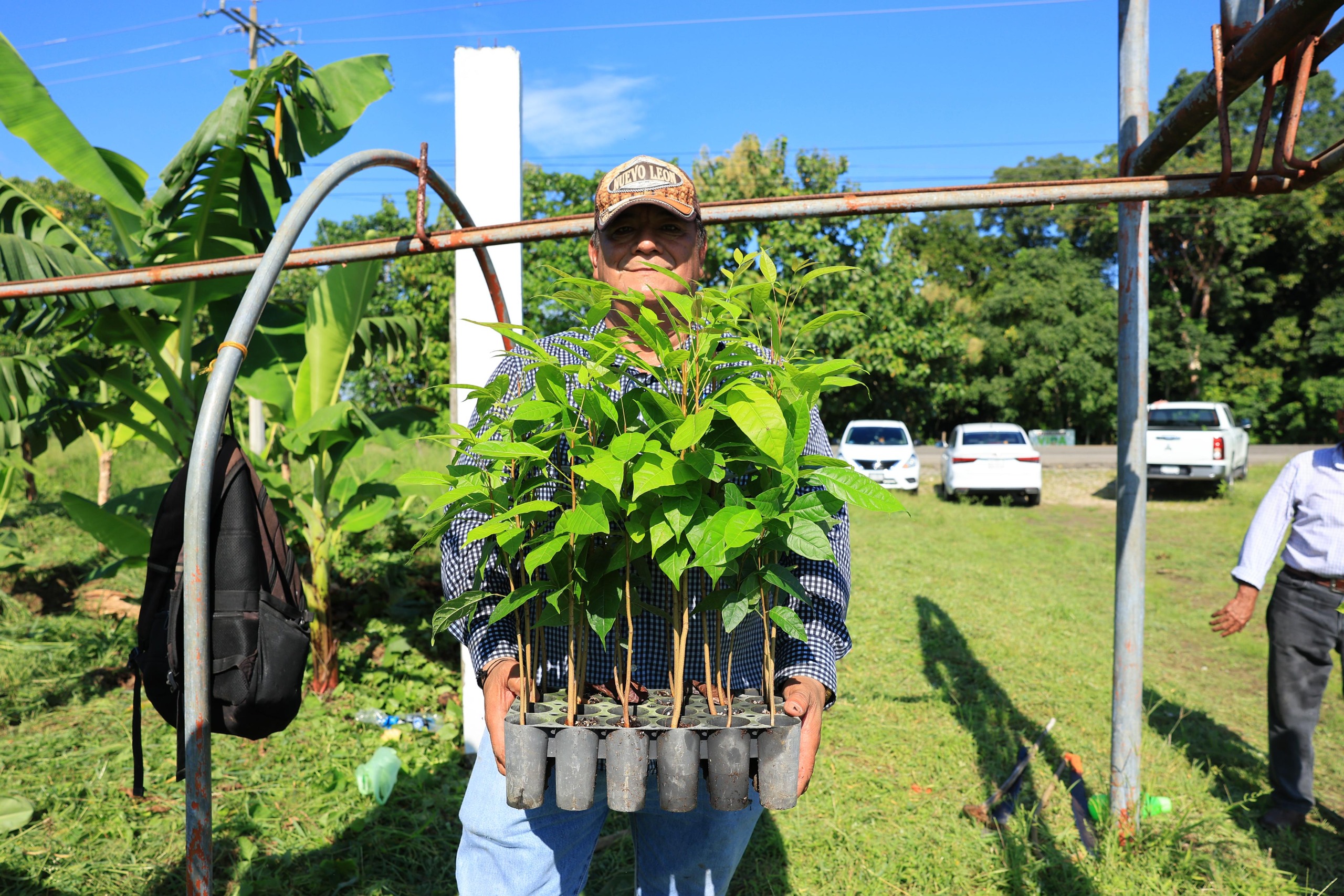 “Estamos listos para que planten lo que producimos en el vivero”; trabajadores de la Finca Las Lilias invitan a participar en la Jornada de Reforestación.