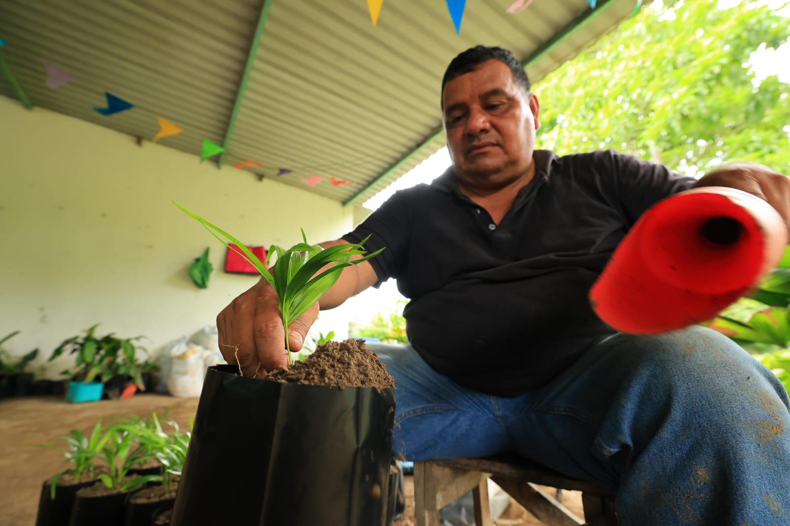Jornada de Reforestación contribuirá a recuperar la cubierta vegetal en Tabasco, afirman especialistas en la materia, quienes invitan a sumarse a esta iniciativa.