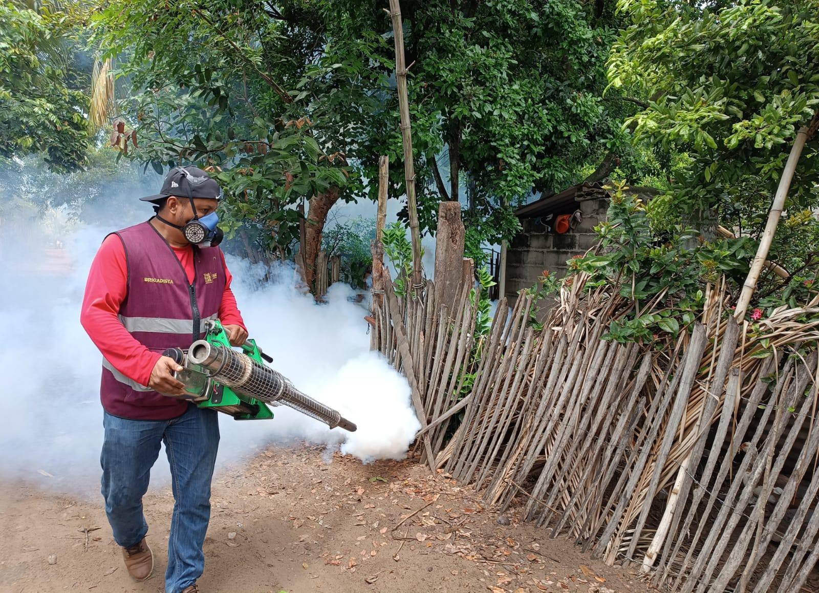 Exhorta Salud a Tabasqueños a redoblar las medidas preventivas contra el dengue, ante incremento de las lluvias.