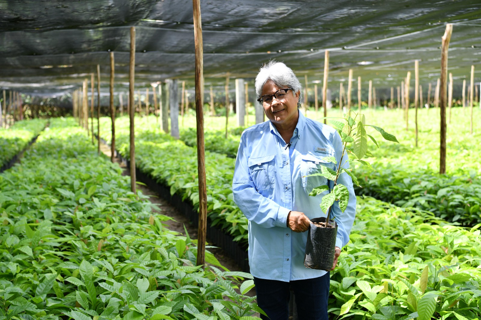 SEDAP convoca a Jornada de Reforestación en Tabasco.