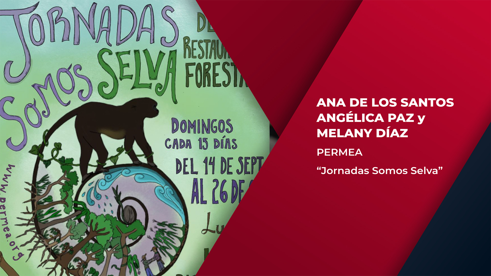 Urge restauración forestal para restaurar la selva : Permea