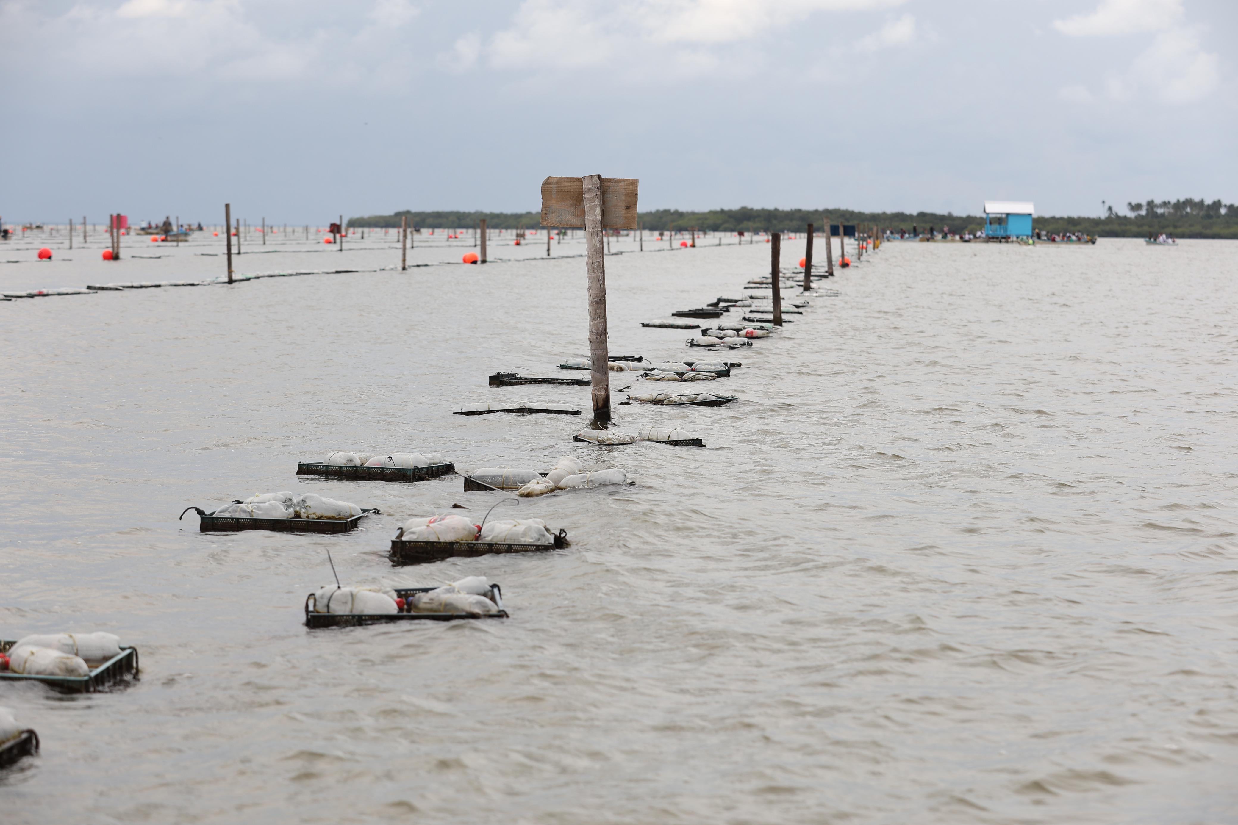Pescando Vida fomenta la economía, arraiga a la gente a sus comunidades y mejora sus condiciones de vida: Javier May.