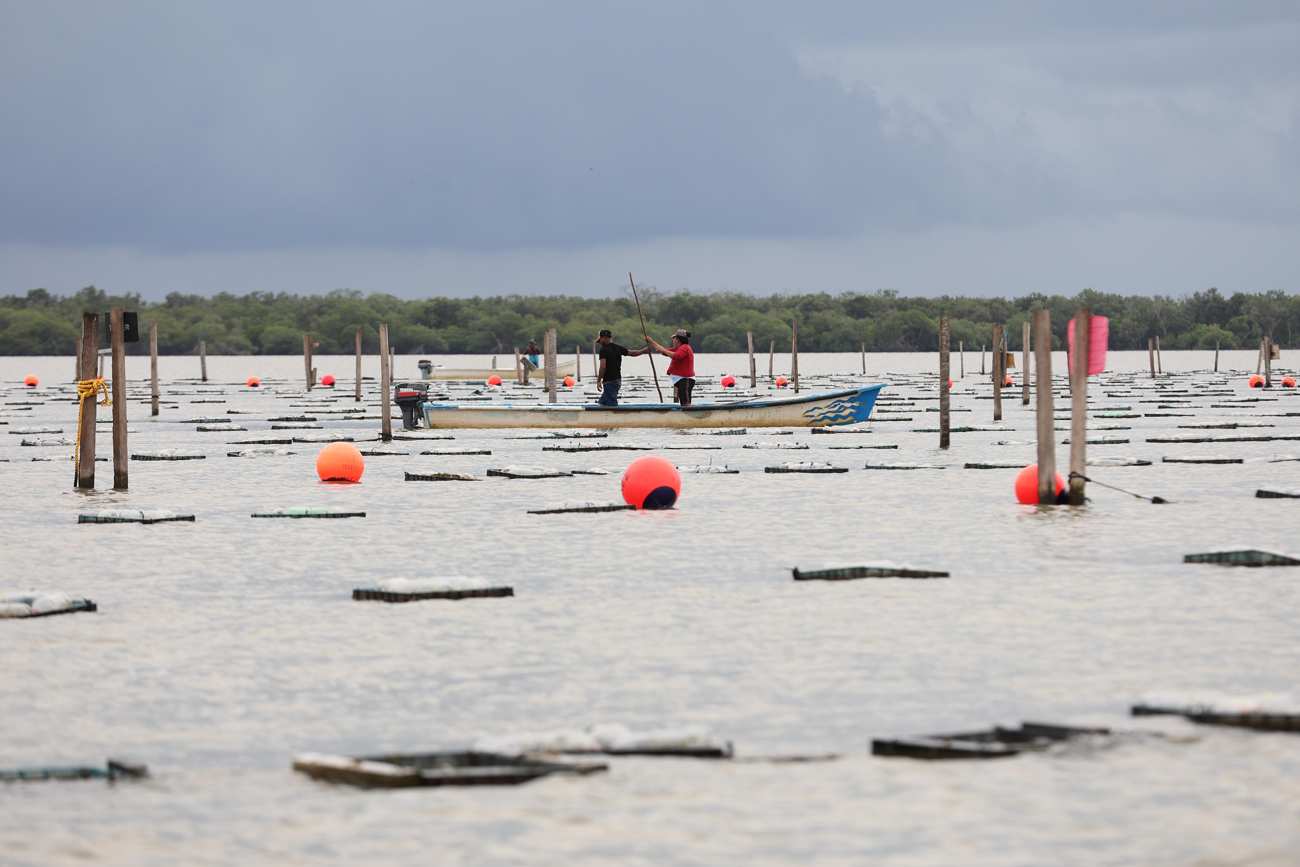 En medio de 186 kilómetros cuadrados de agua dulce en Cárdenas, «reviven» poblados fantasmas con el programa Pescando Vida.