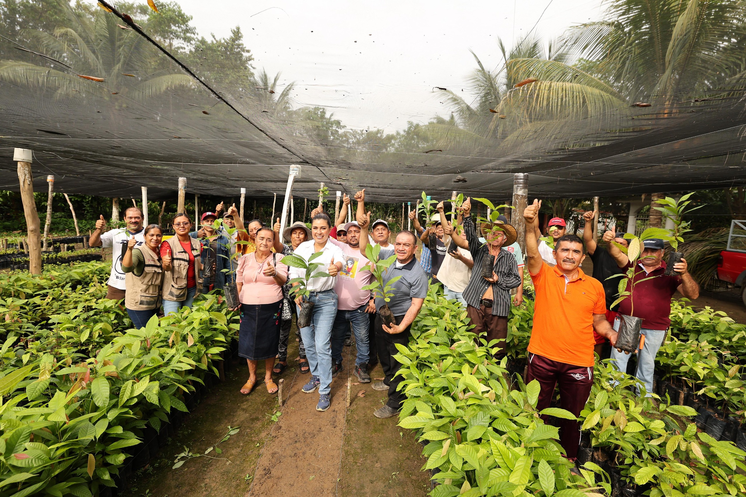 Tabasqueños se alistan para participar en Jornada de Reforestación; inicia entrega de plantas a participantes.