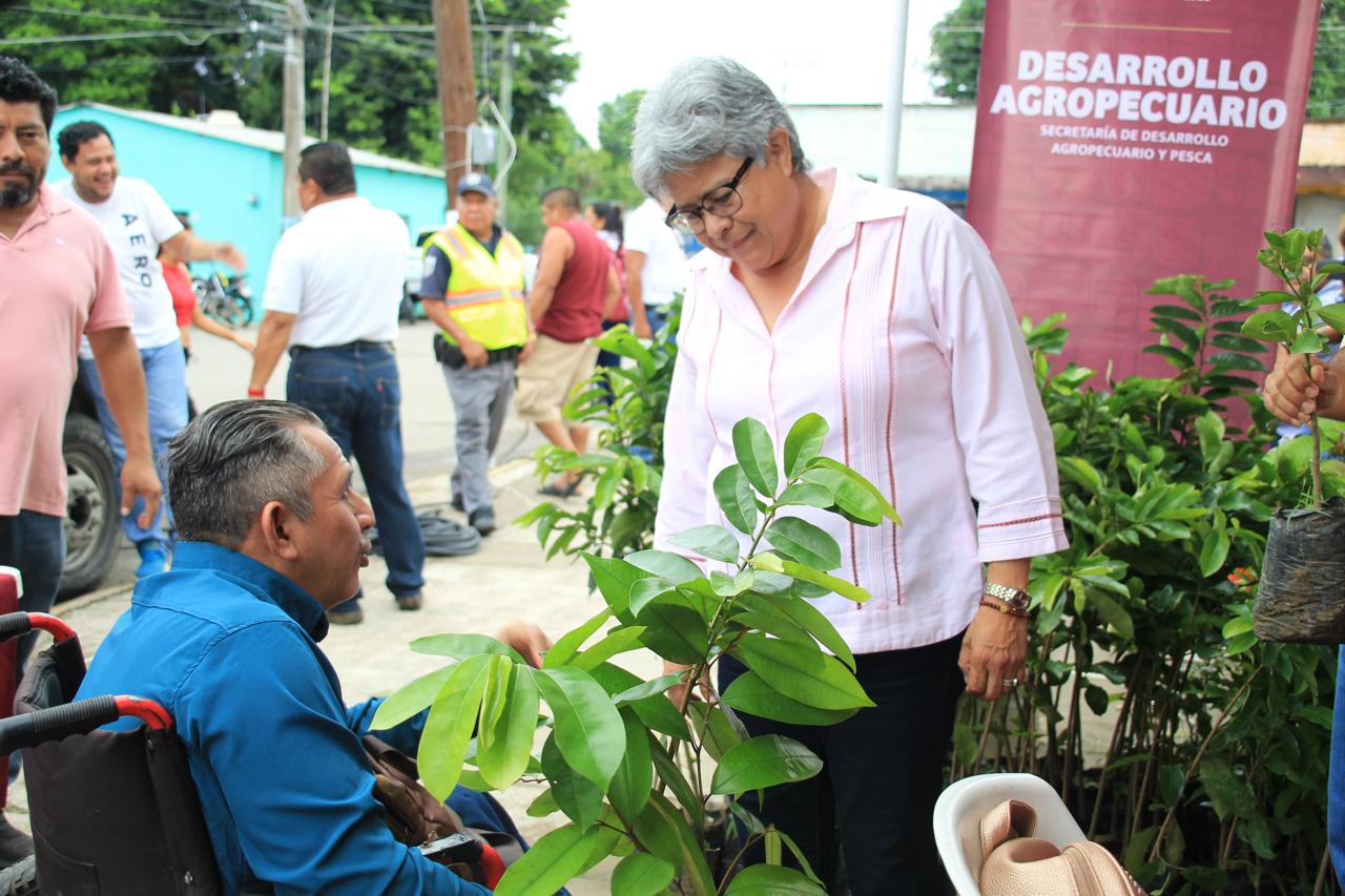 «Sembrar árboles es un acto de amor», llama titular de SEDAP a participar en la Jornada de Reforestación este domingo.