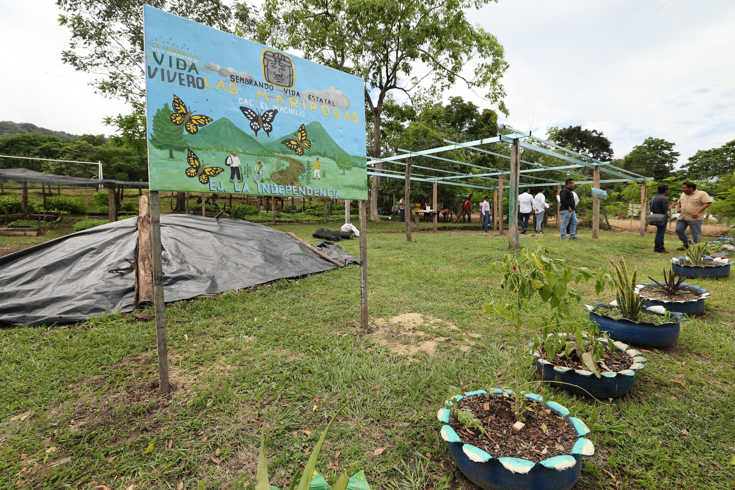 Sembrando Vida acorta brechas de desigualdad, genera empleo, recompone tejido social y construye comunidades felices, afirma Javier May al visitar CAC’s en Tenosique.