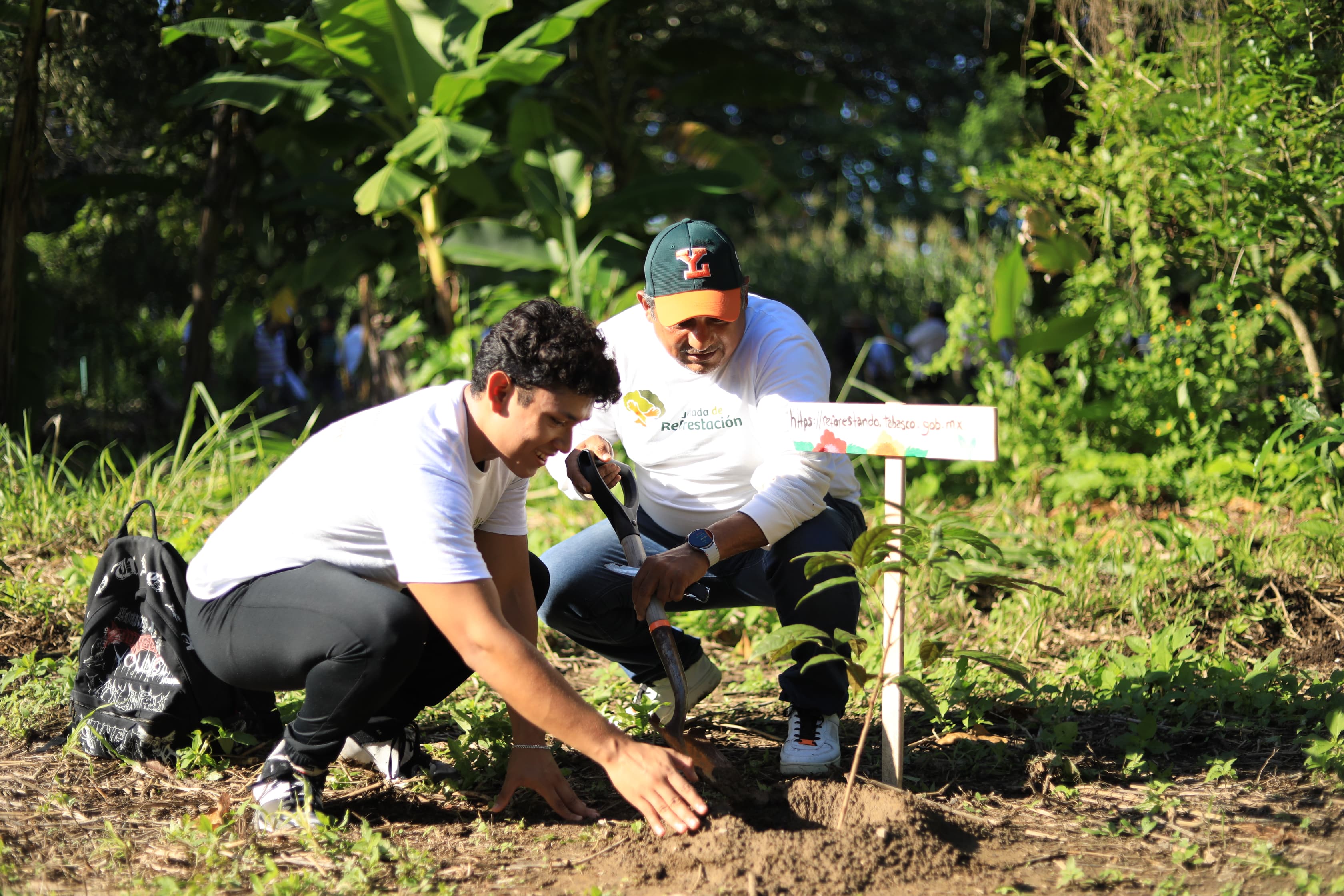 Tabasqueñas y tabasqueños, protagonistas de la Jornada de Reforestación; “sembrar es regalar vida”, afirman.