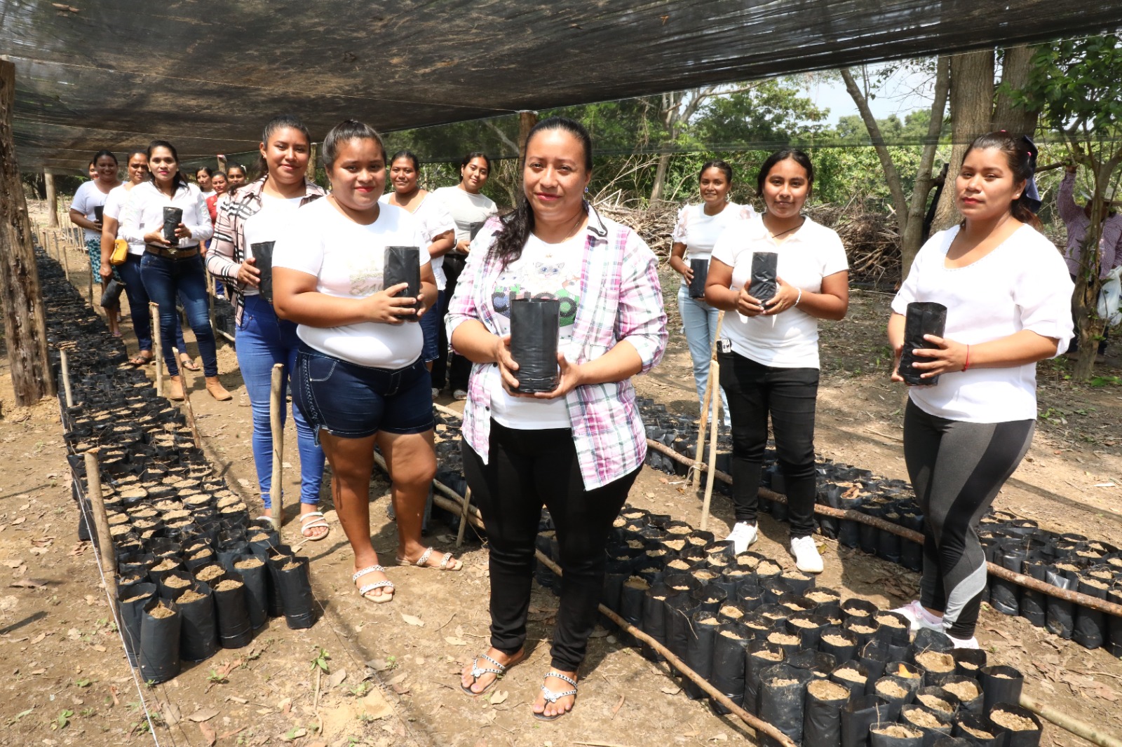 De la mano de las y los campesinos, Sembrando Vida Tabasco continúa avanzando; inaugura José Ramiro López Obrador en Villa Tepetitán nuevo CAC.
