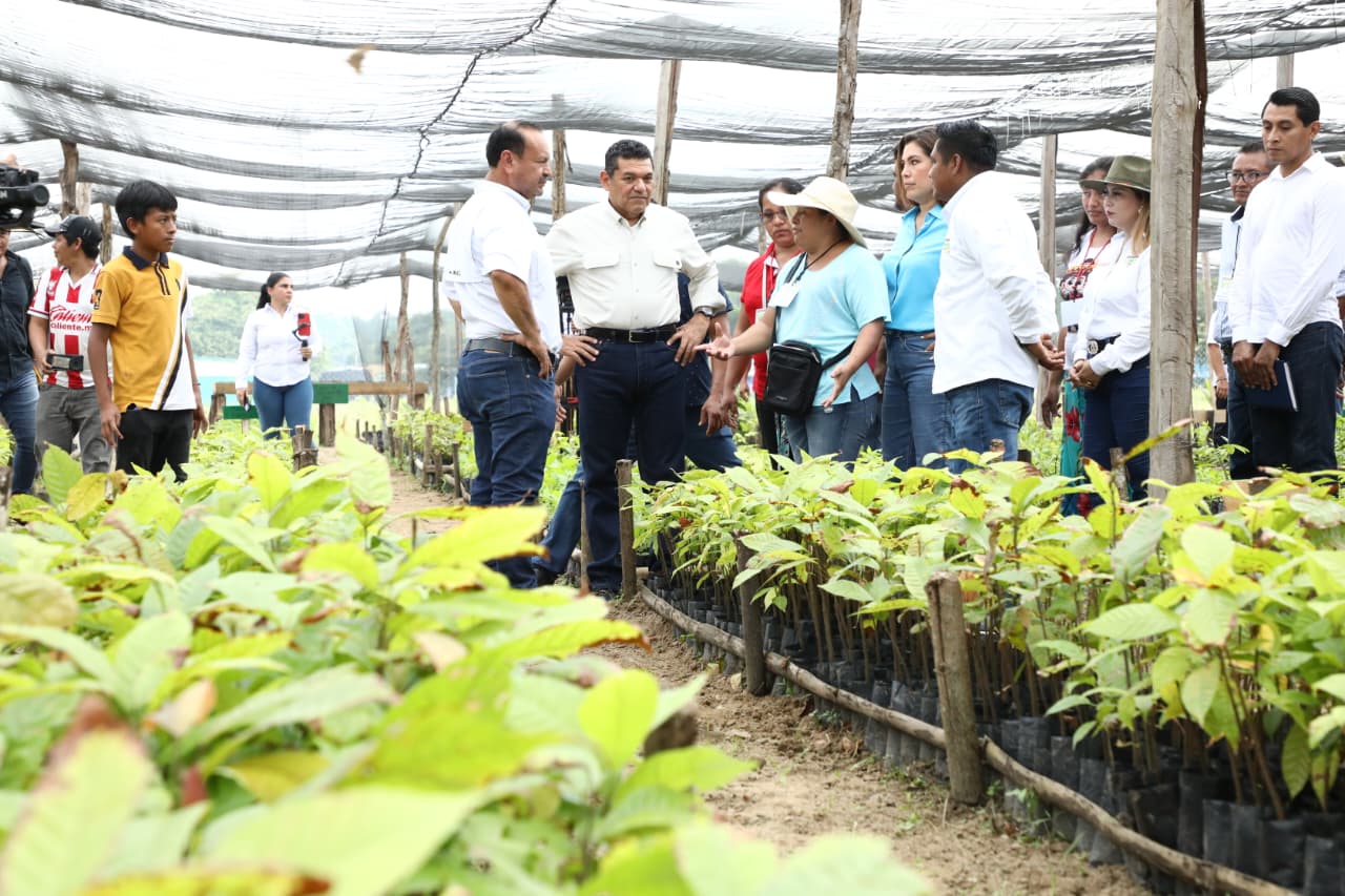 Reconoce Javier May esfuerzo y dedicación de las y los campesinos en CAC’s de Sembrando Vida Tabasco; se está logrando reactivación del campo y recomposición de tejido social, afirma.