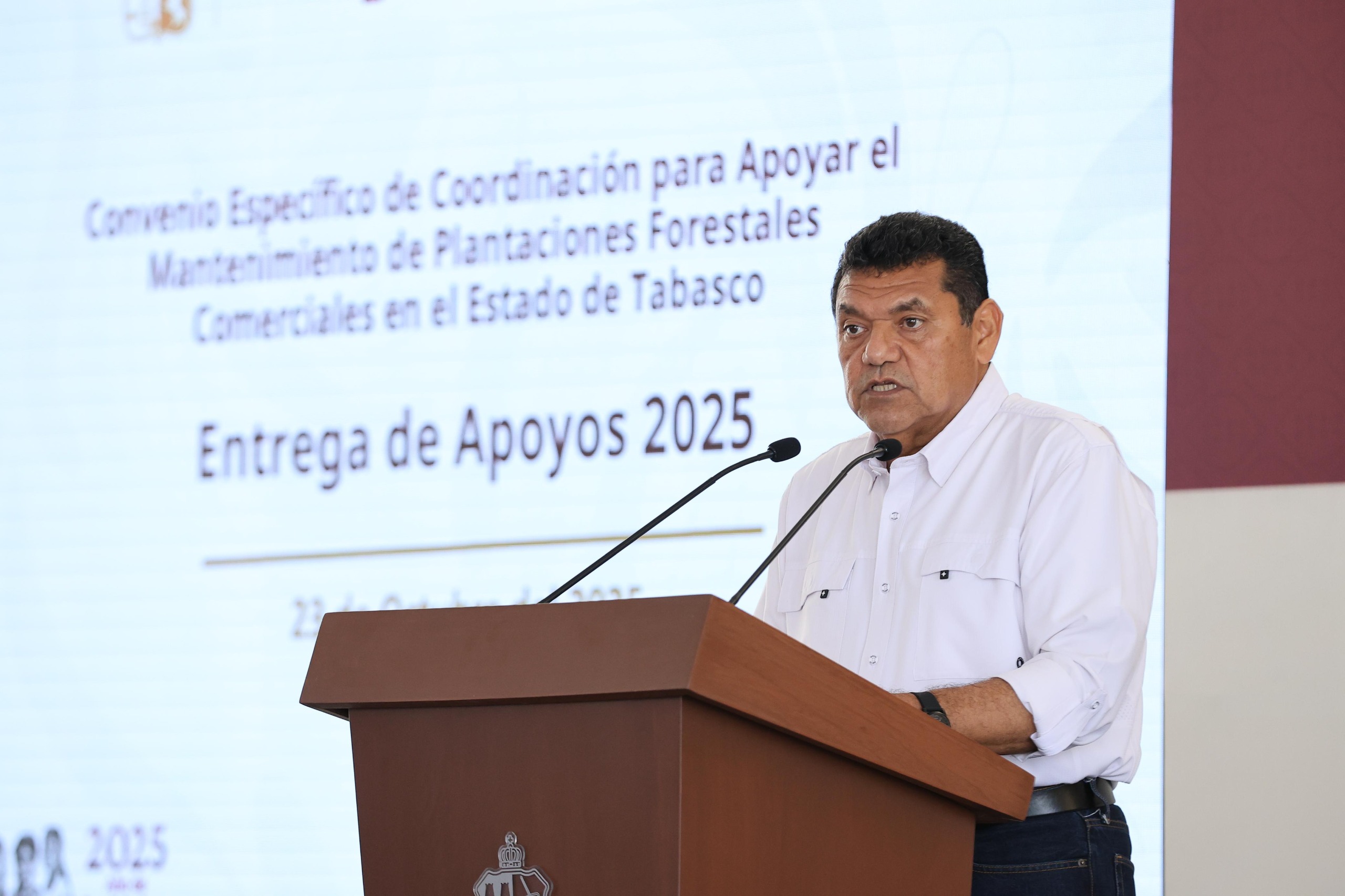 Entrega Javier May apoyos a productores forestales por 3.7 mdp; Gobierno del Estado genera confianza a inversionistas que le apuestan al sector, resalta.