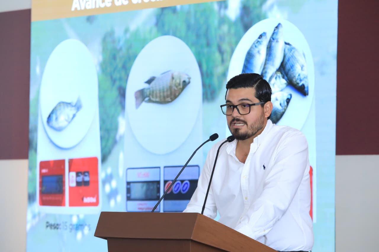 58 toneladas de mojarra con una derrama de más de 3.5 mdp es el inicio de cosechas de Pescando Vida; SEDAP estima para abril y mayo de 2026 la producción más alta con 1,800 toneladas.