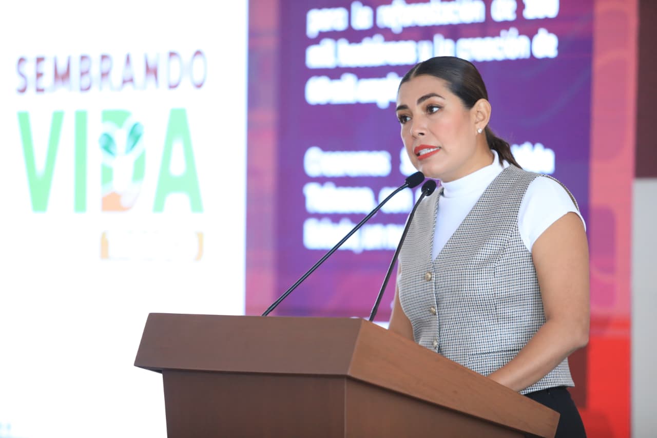 Con Sembrando Vida Tabasco e inversión social superior a 344 mdp, Gobierno del Estado fortalece el campo y acorta brechas de desigualdad: Bienestar.