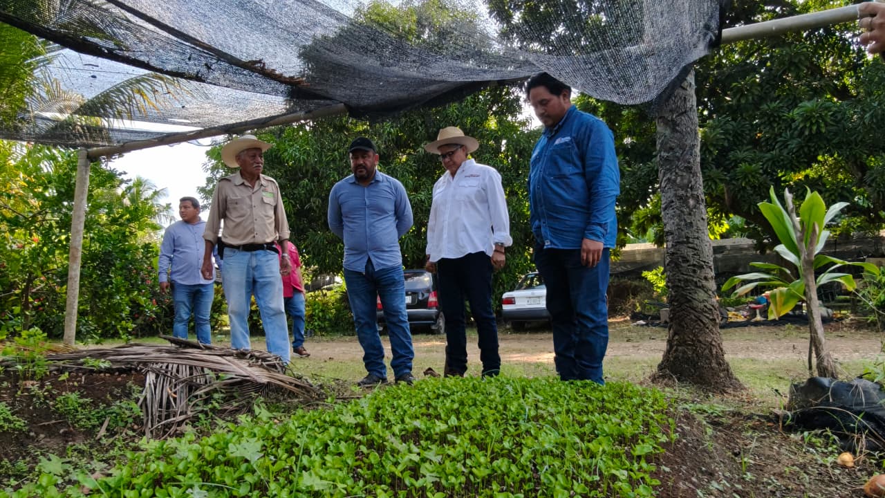 Finca Las Lilias, un santuario de la reproducción vegetal de Tabasco.