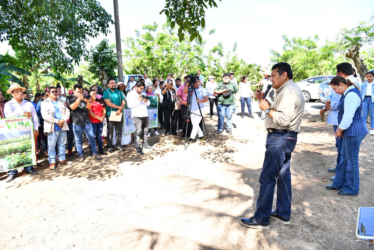 Presidenta Claudia Sheinbaum oficializará apoyo a la producción del cacao en Tabasco en su próxima visita, confirma Javier May.