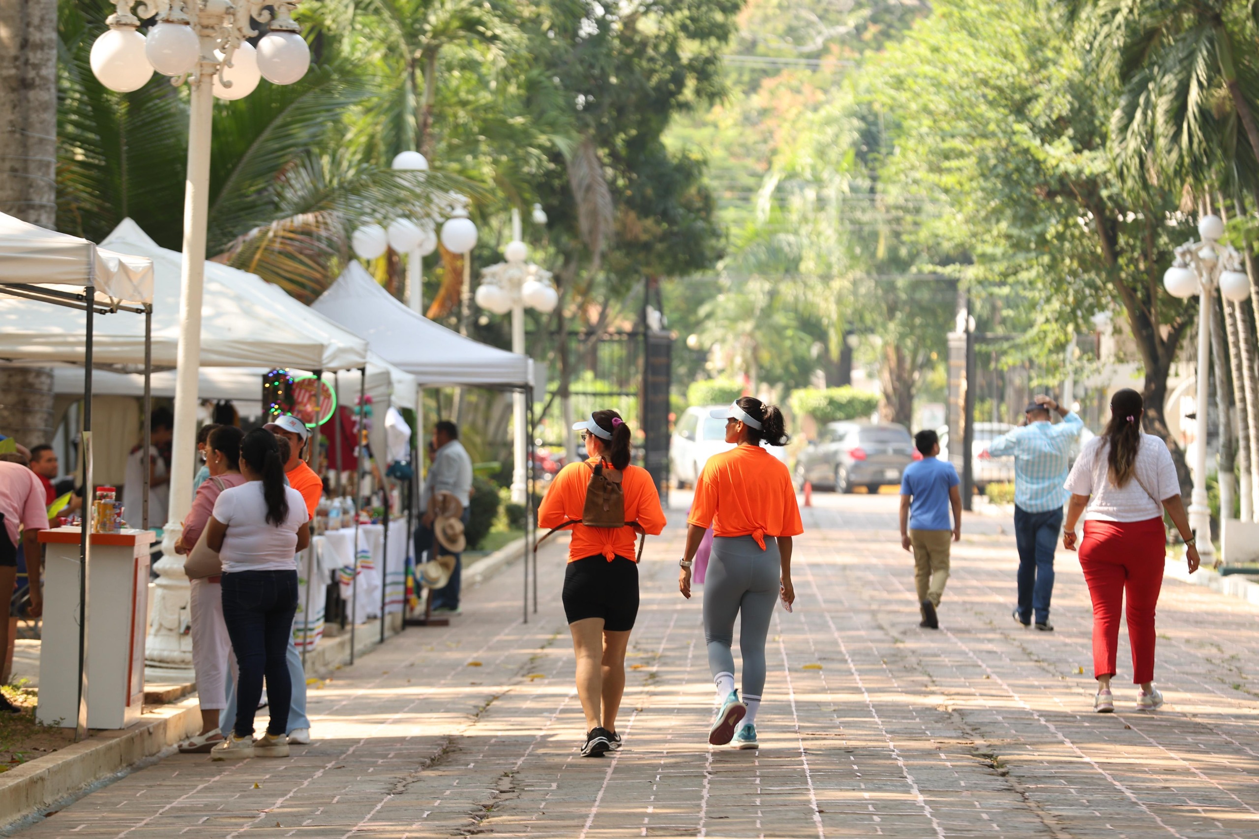 En el 2025 se lograron las metas y ya se trabaja en las actividades del próximo año para seguir reactivando y fomentando la cultura para todos: Aída Elba Castillo.