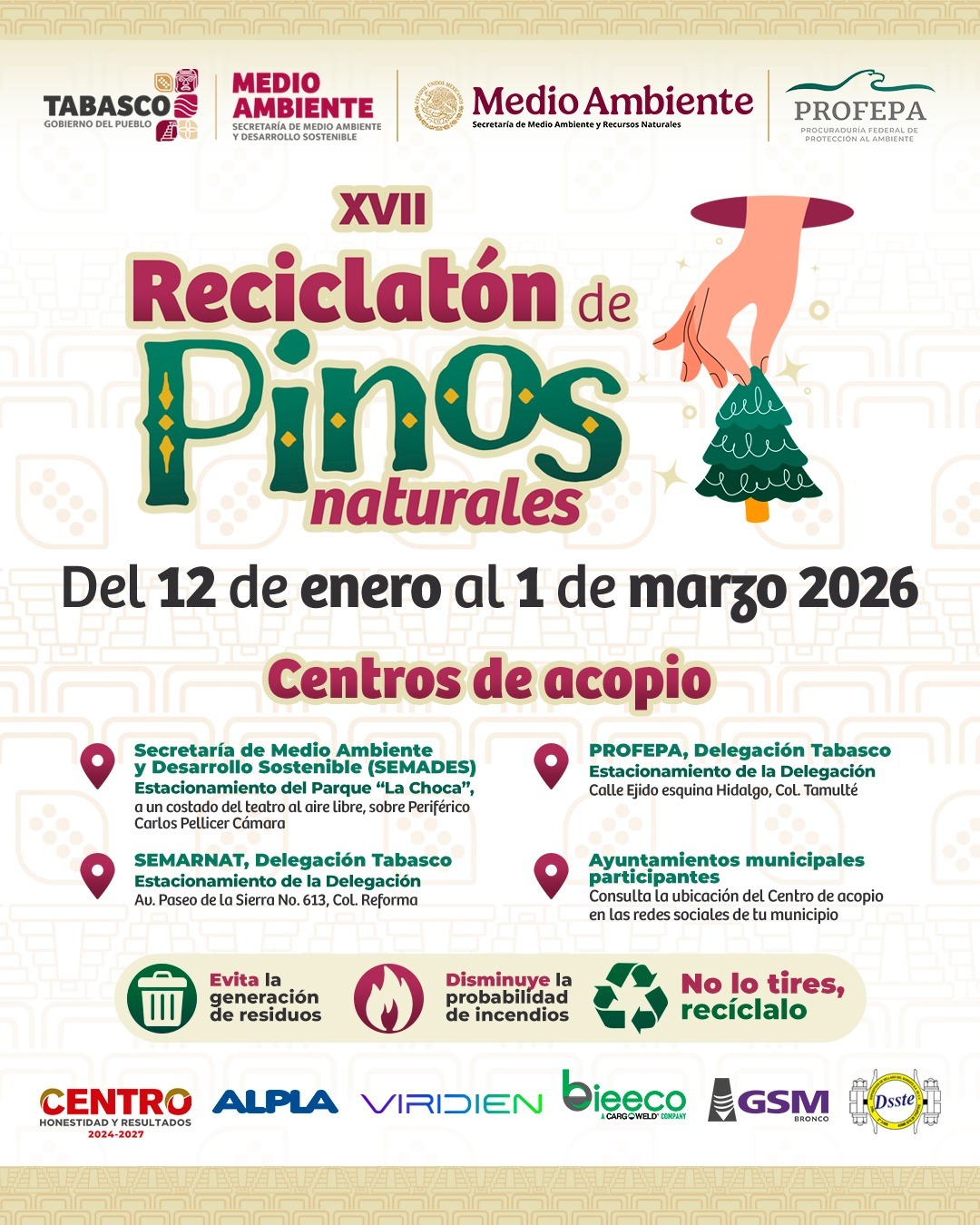 El 12 de enero inicia el “XVII Reciclatón de Pinos Naturales 2026”.