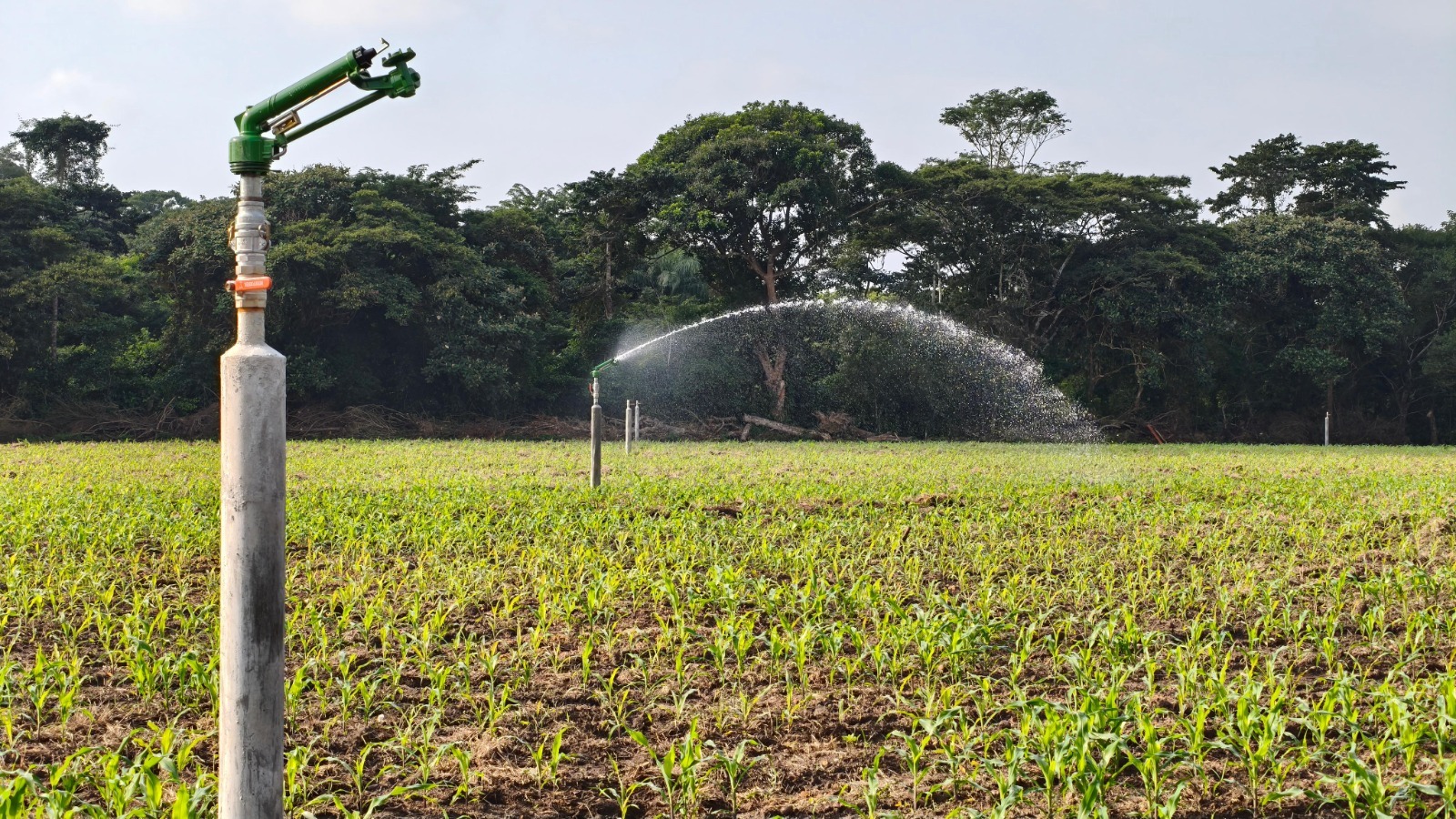 Gobierno de Javier May Rodríguez mejorará producción agrícola con Sistema Riego Suplementario.