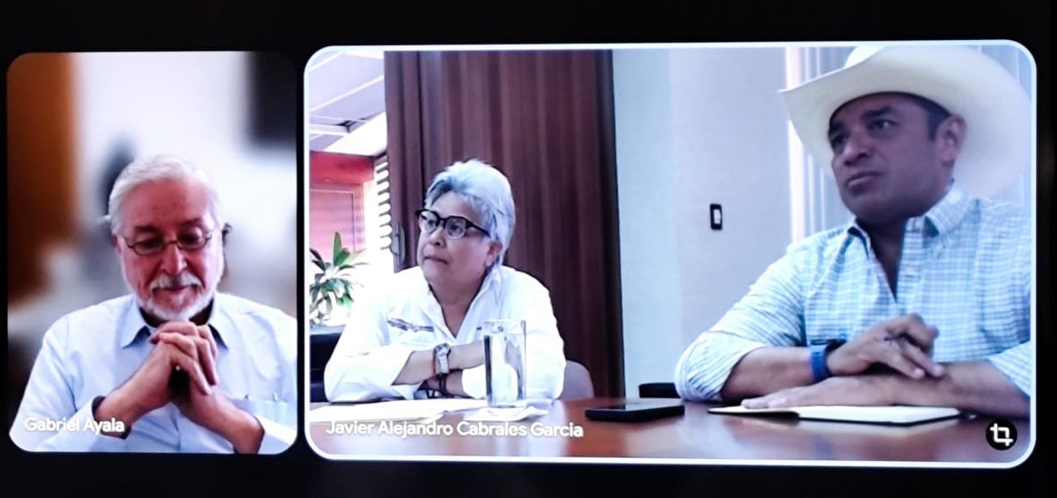 SEDAP informa disminución de casos de gusano barrenador y refuerza acciones preventivas en el sector ganadero.