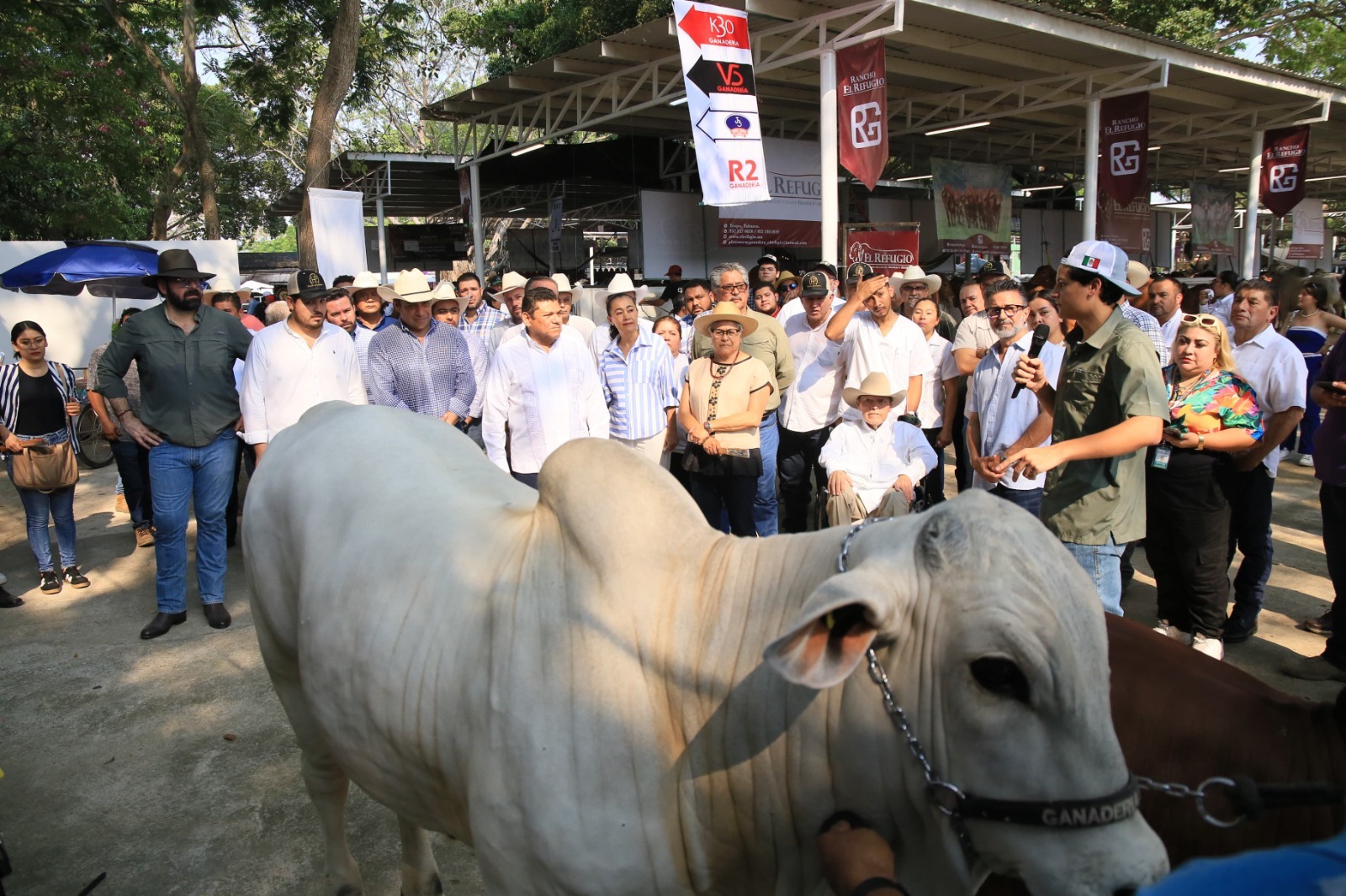 Habrá Concursos de la Vaca Lechera y de Desconchador de Ostión en la Feria Tabasco 2026: SEDAP.