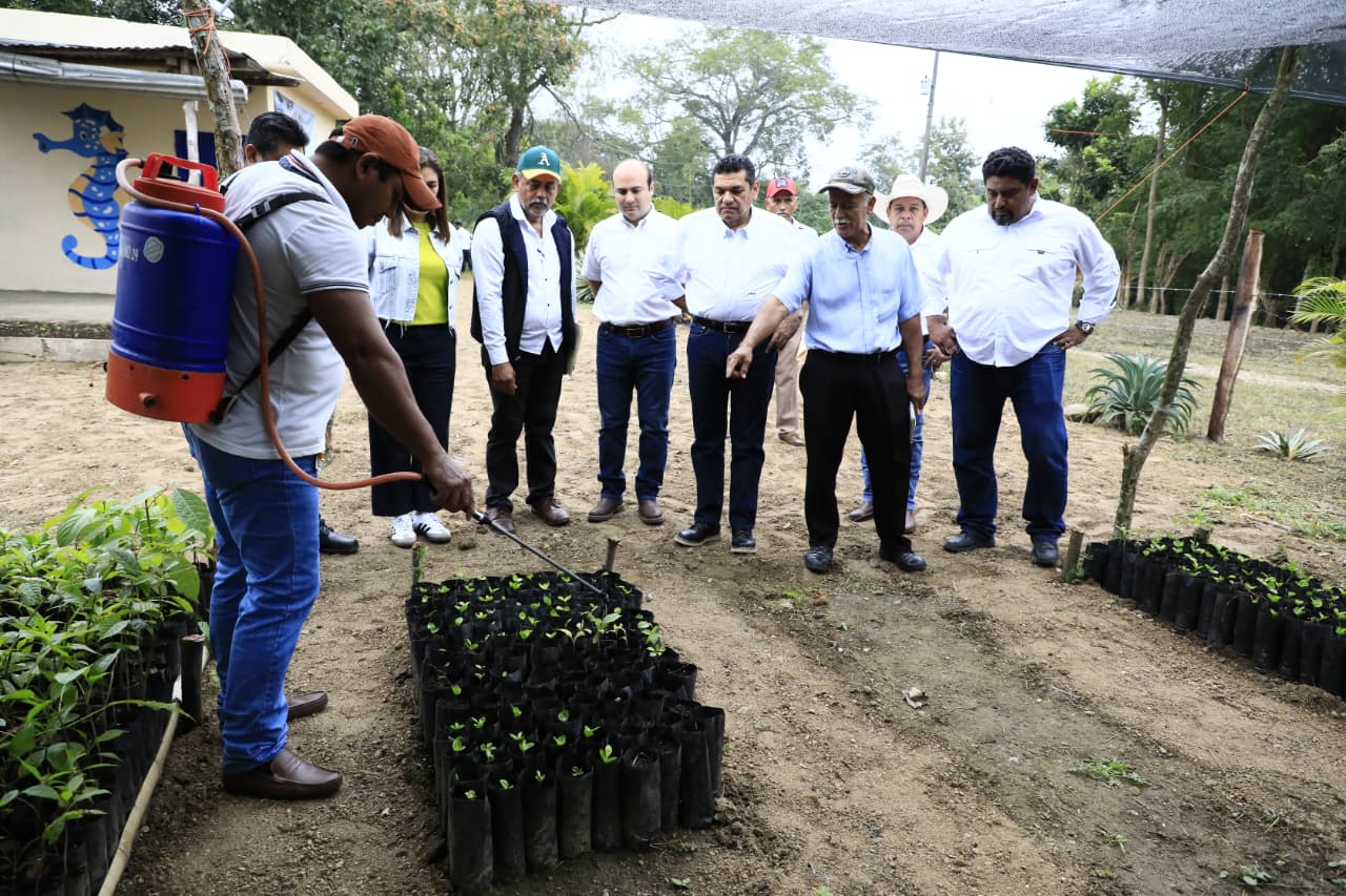 Un ejército de 70 mil campesinos y campesinas cambiarán la realidad del campo; exclama el Gobernador Javier May Rodríguez al supervisar CAC’s en Teapa.