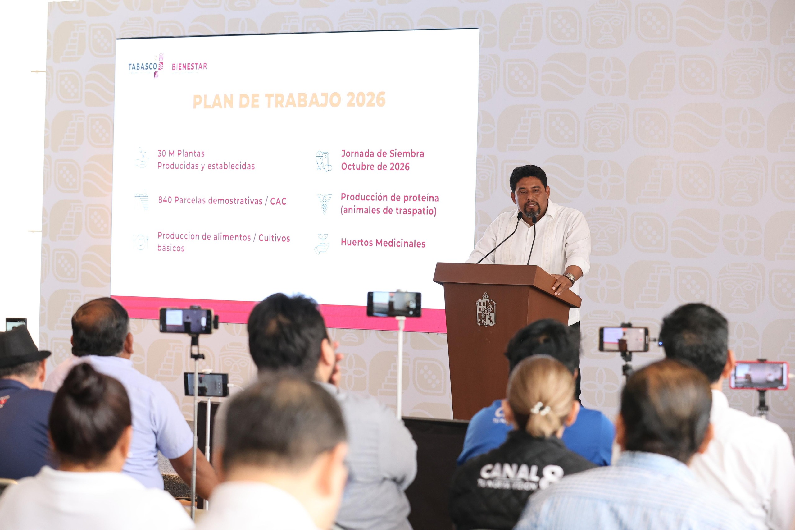 Tabasco avanza hacia la autosuficiencia alimentaria; Sembrando Vida Estatal producirá 30 millones de plantas de cultivos básicos y forestales.