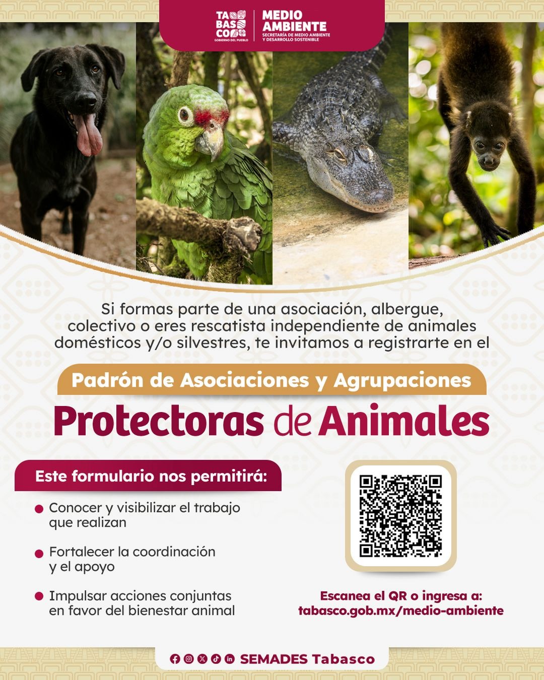 Padrón de Asociaciones y Agrupaciones Protectoras de Animales.
