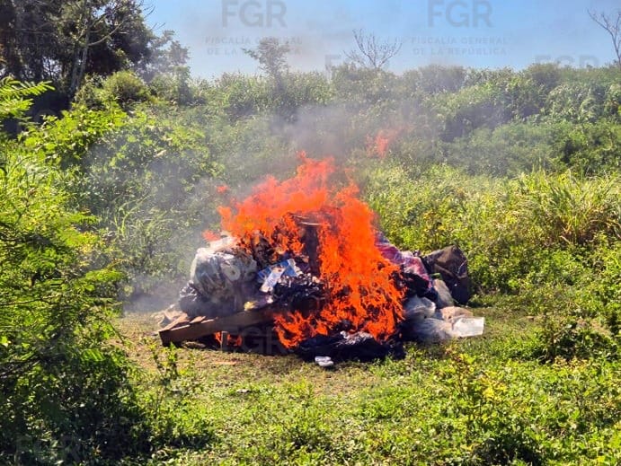 RESULTADOS DE LA FGR EN TABASCO EN EL MES DE ENERO DEL 2026.