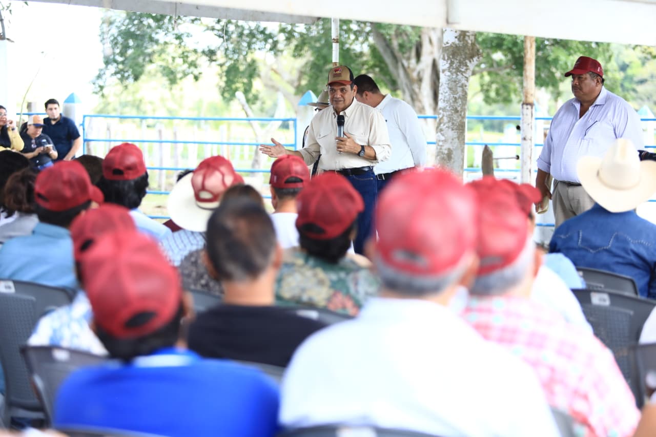 Avanza sin demora Crédito Ganadero a la Palabra, se han entregado 15 mil vientres a productores de 7 municipios a la fecha.