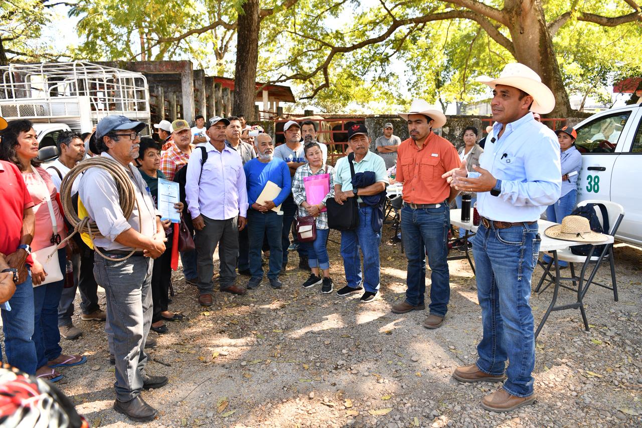 Con la entrega de paquetes del Crédito Ganadero a la Palabra, comienza el repoblamiento pecuario en zonas donde había decaído la producción.