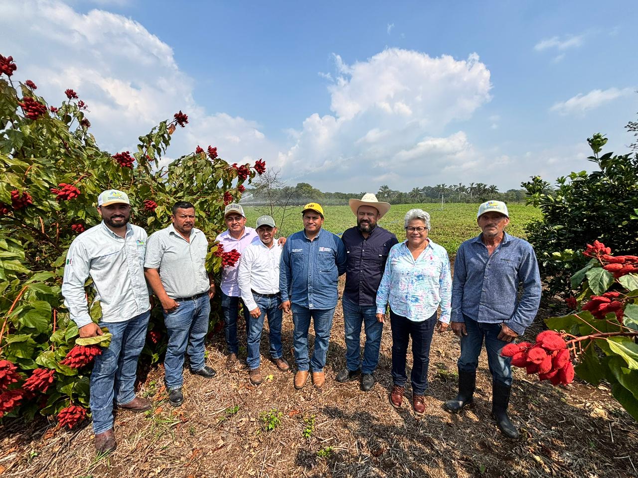 Con riego y esperanza, el campo de Balancán florece: SEDAP impulsa a productores con Riego Suplementario