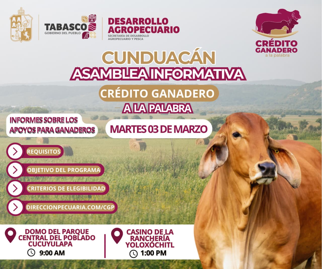 Inicia SEDAP censos del programa Crédito Ganadero a la Palabra en tres municipios.