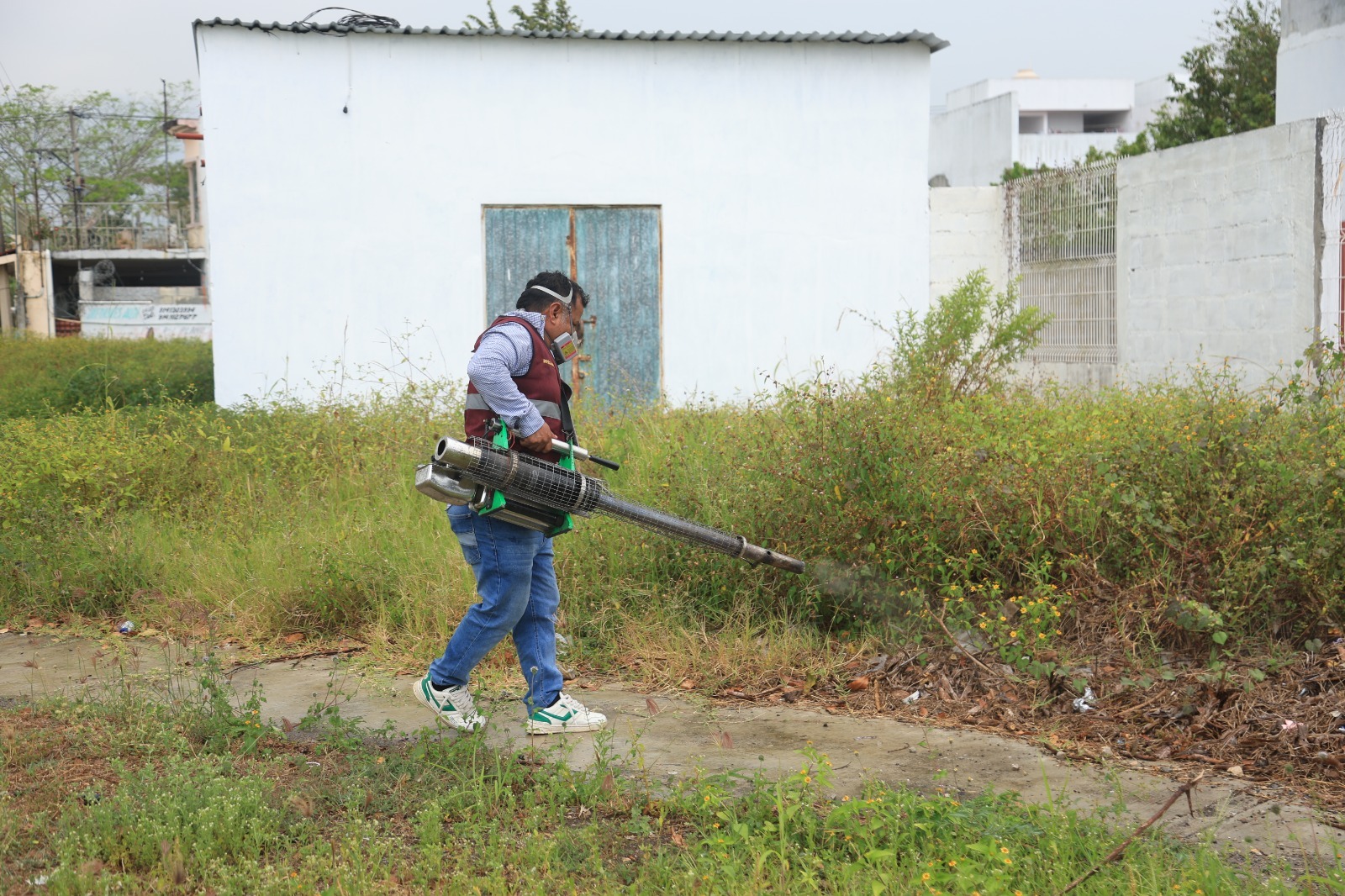 La prevención del Dengue y Chikungunya en Tabasco es responsabilidad de todos: Salud.